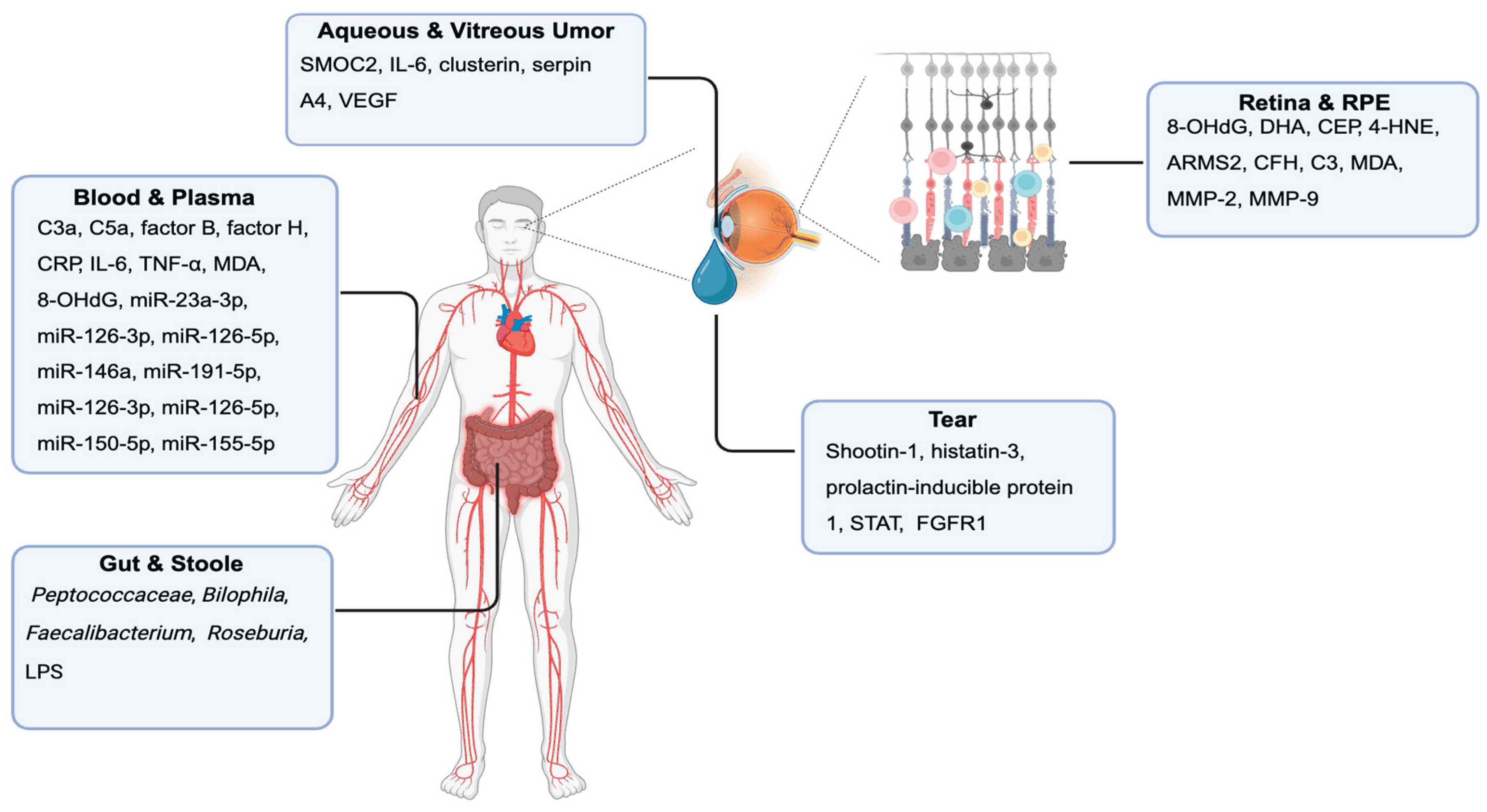 Preprints 170451 g004