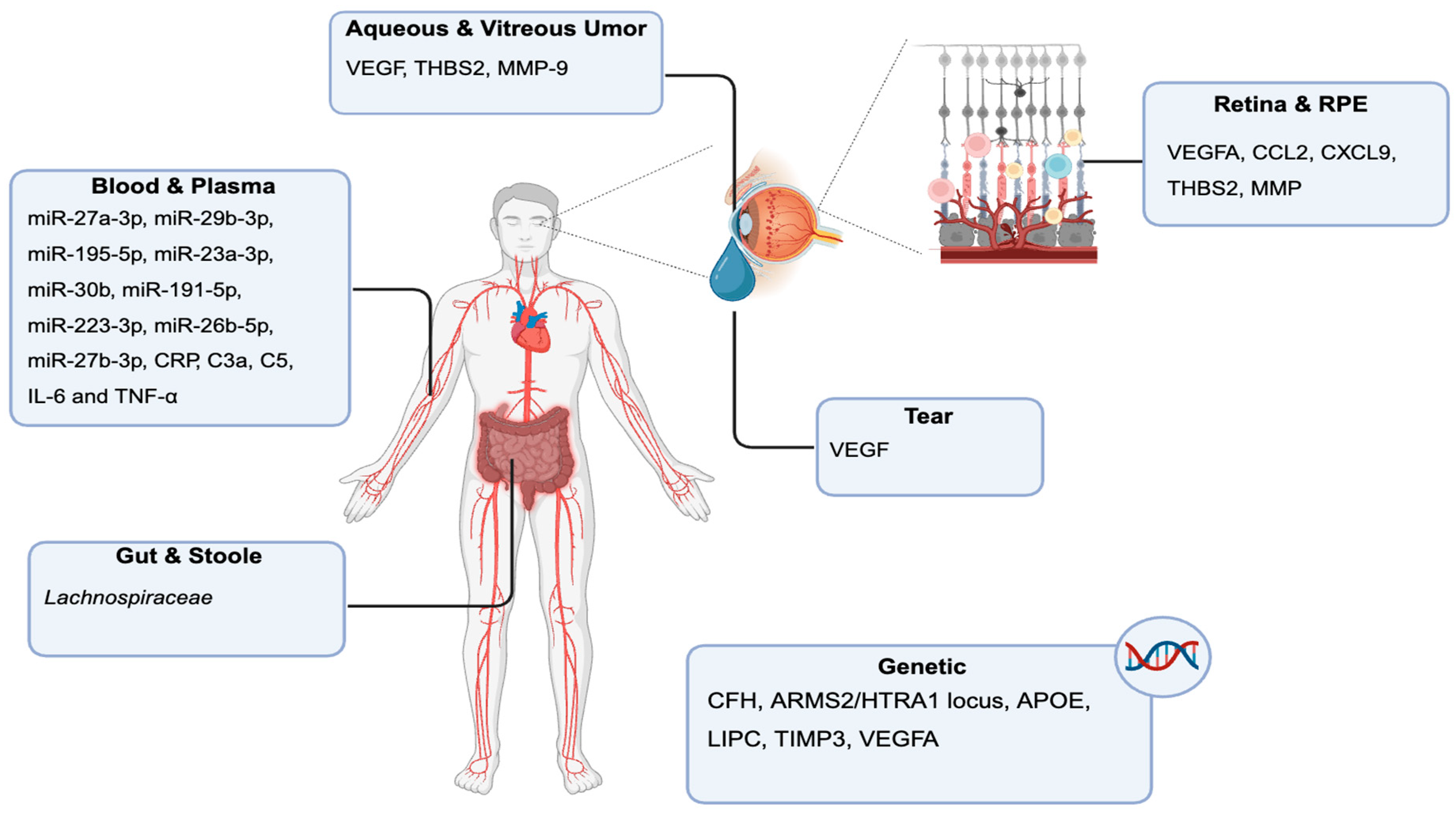 Preprints 170451 g005