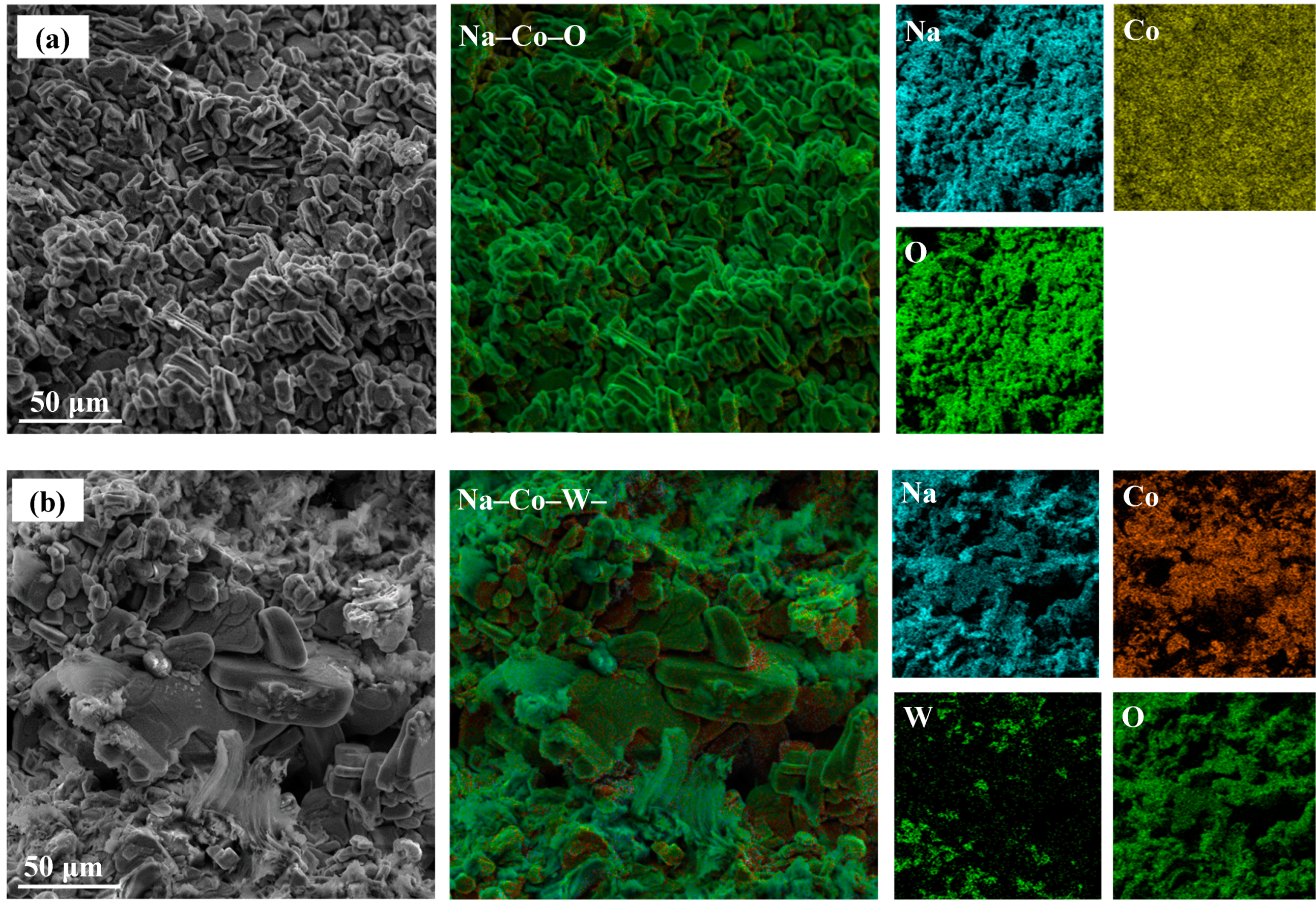 Preprints 151883 g003
