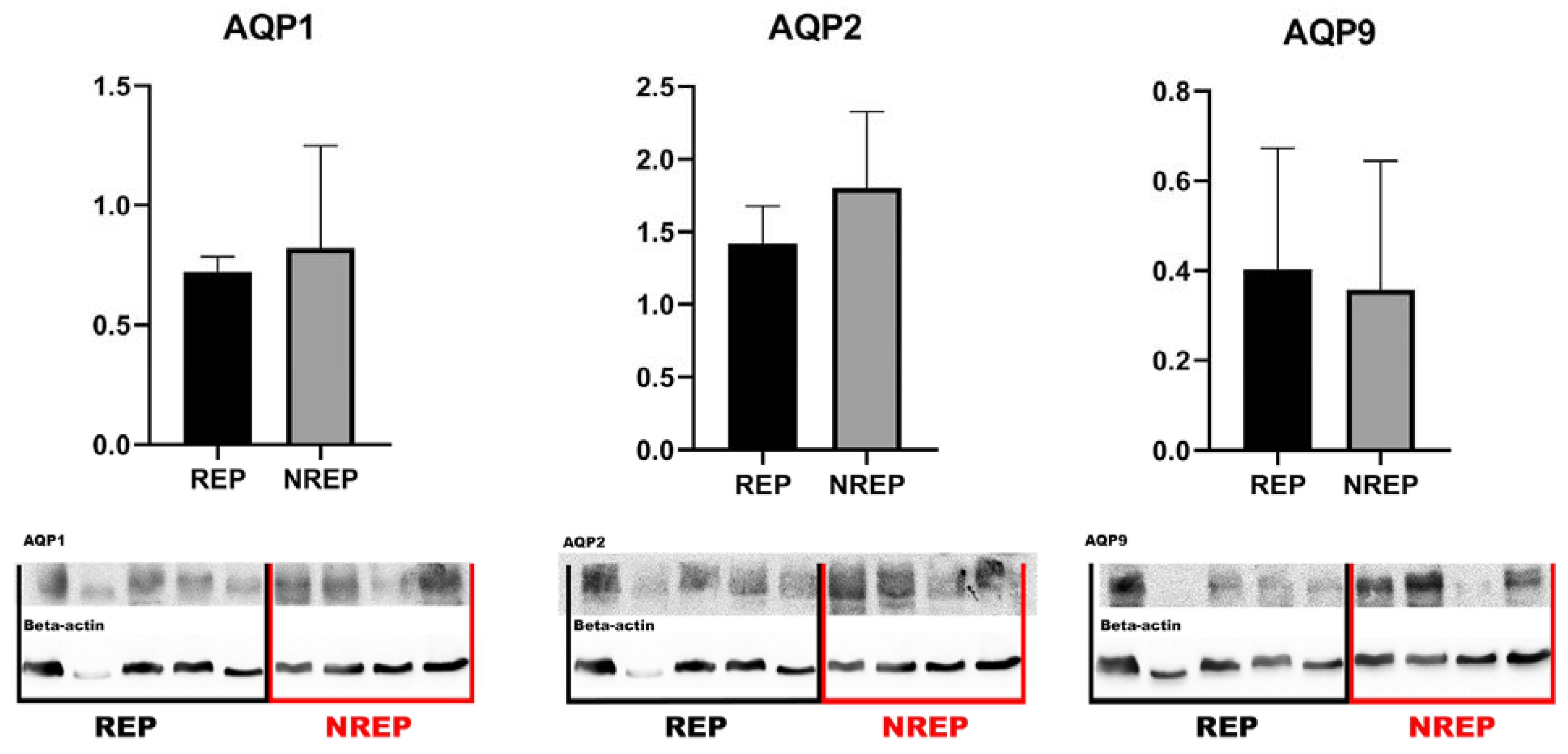 Preprints 115655 g002