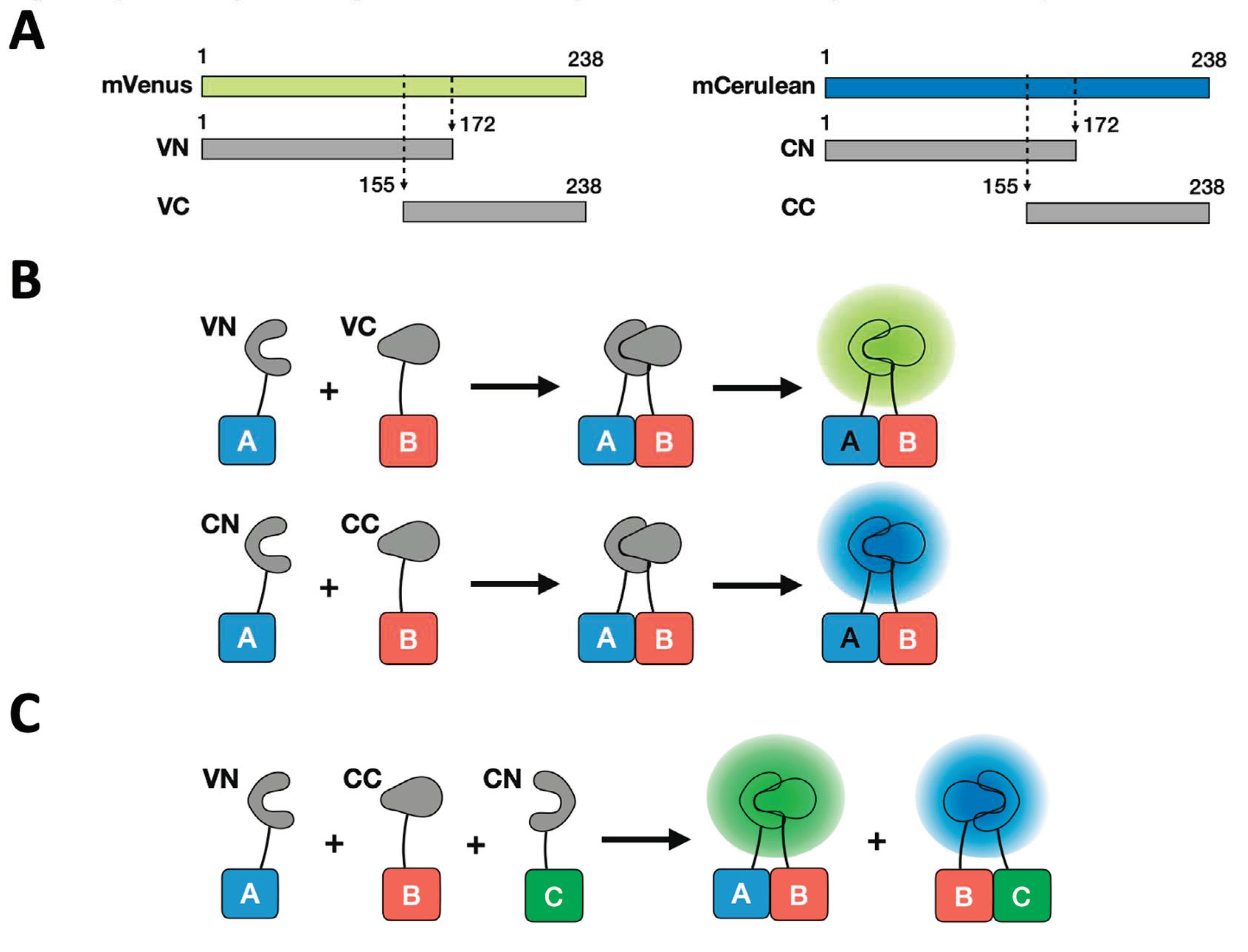 Preprints 87525 g001