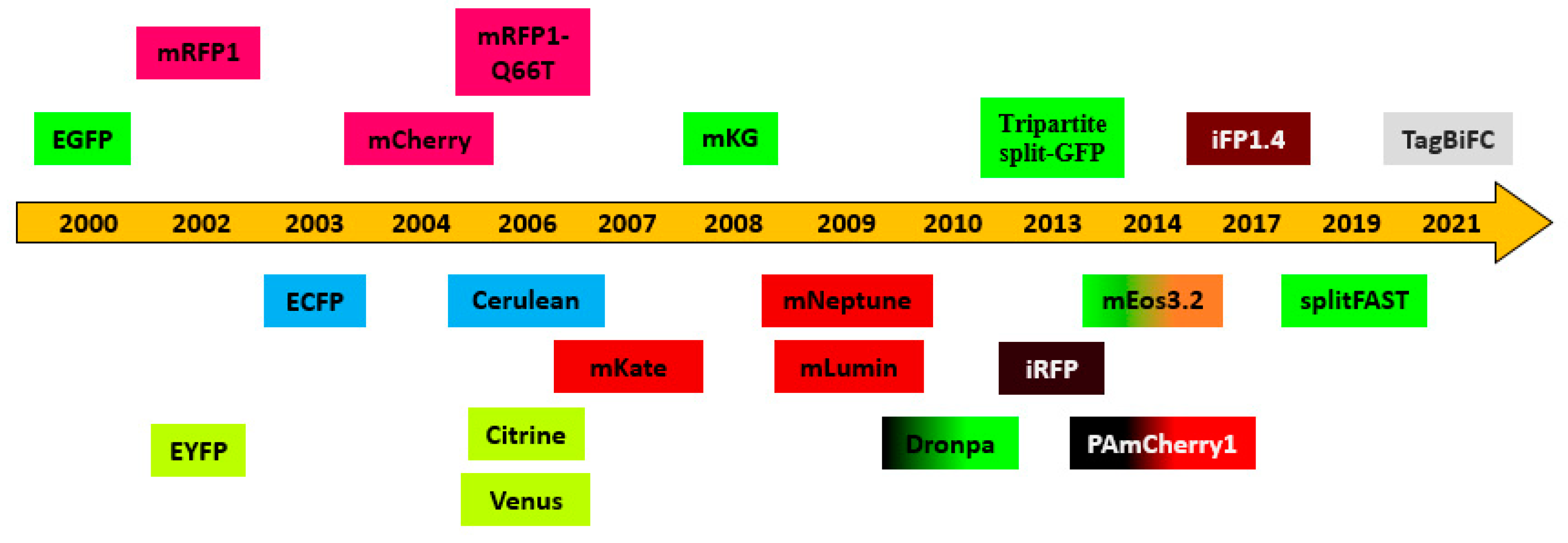 Preprints 87525 g002