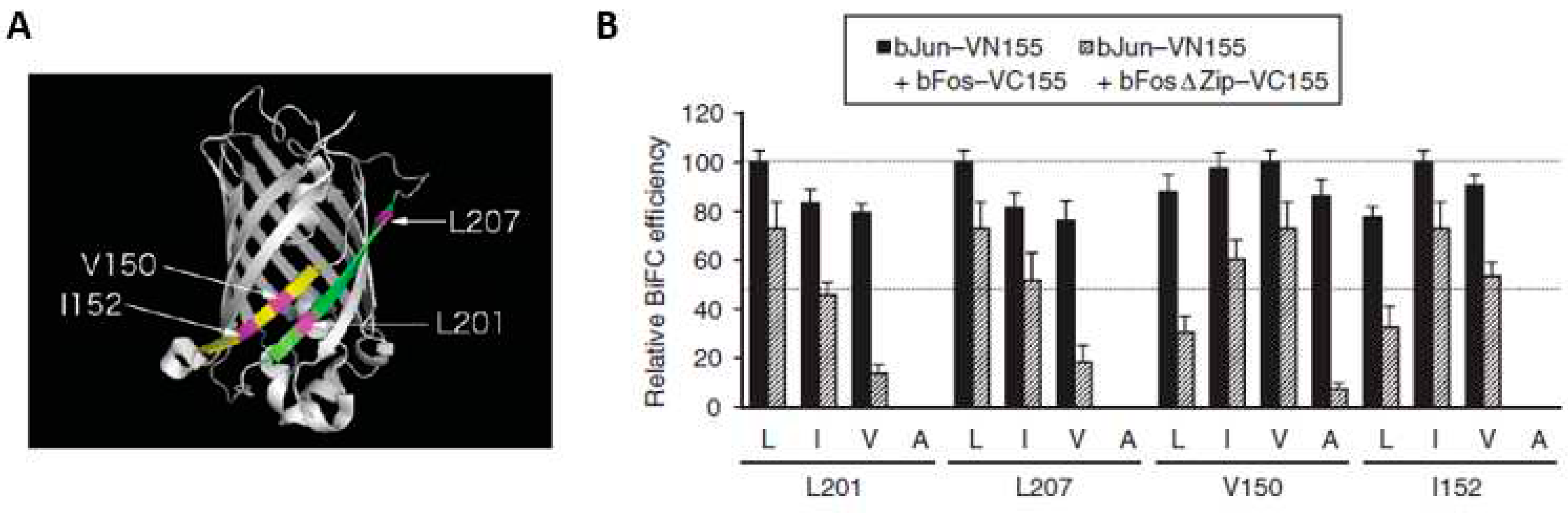 Preprints 87525 g004