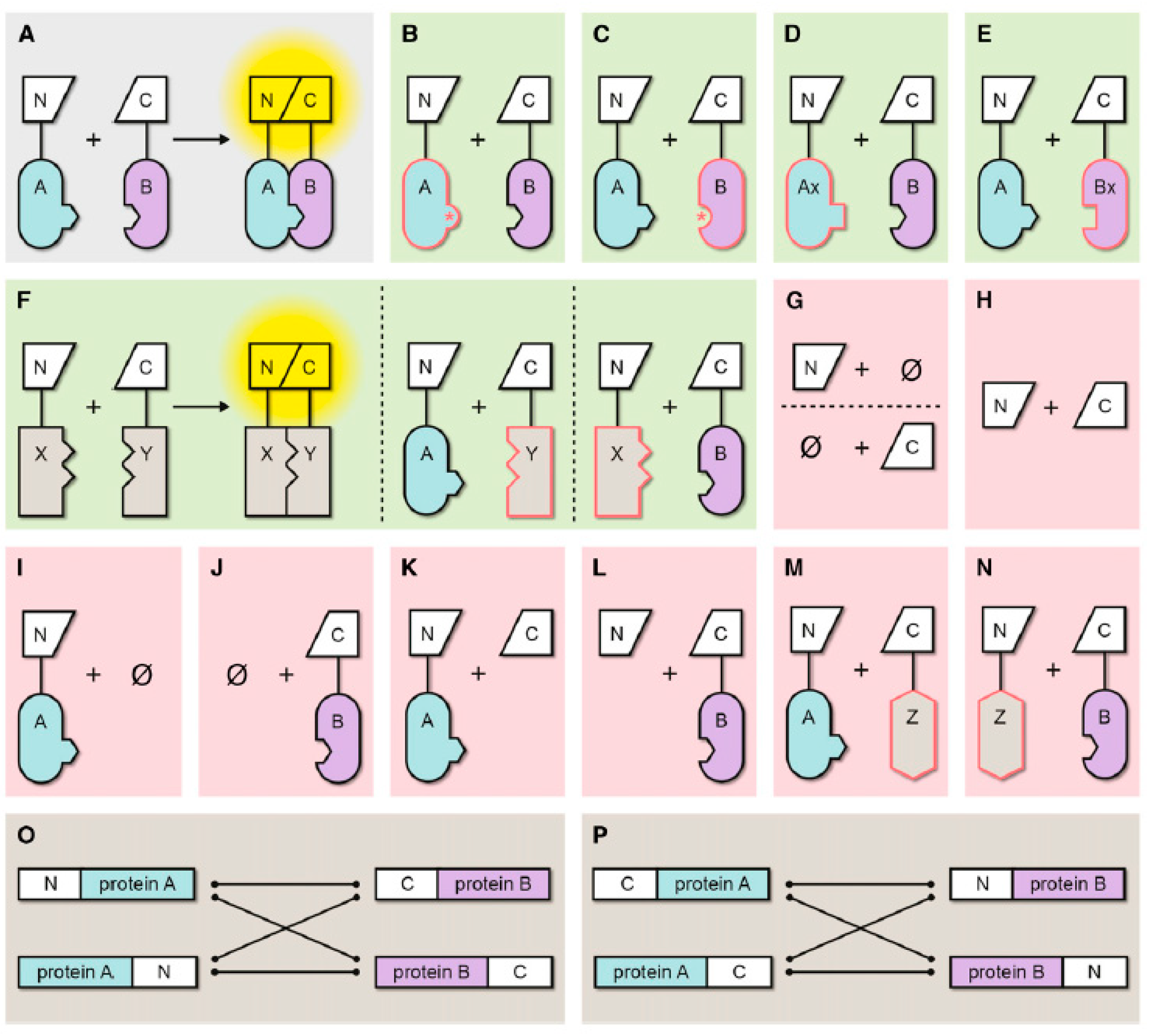 Preprints 87525 g005