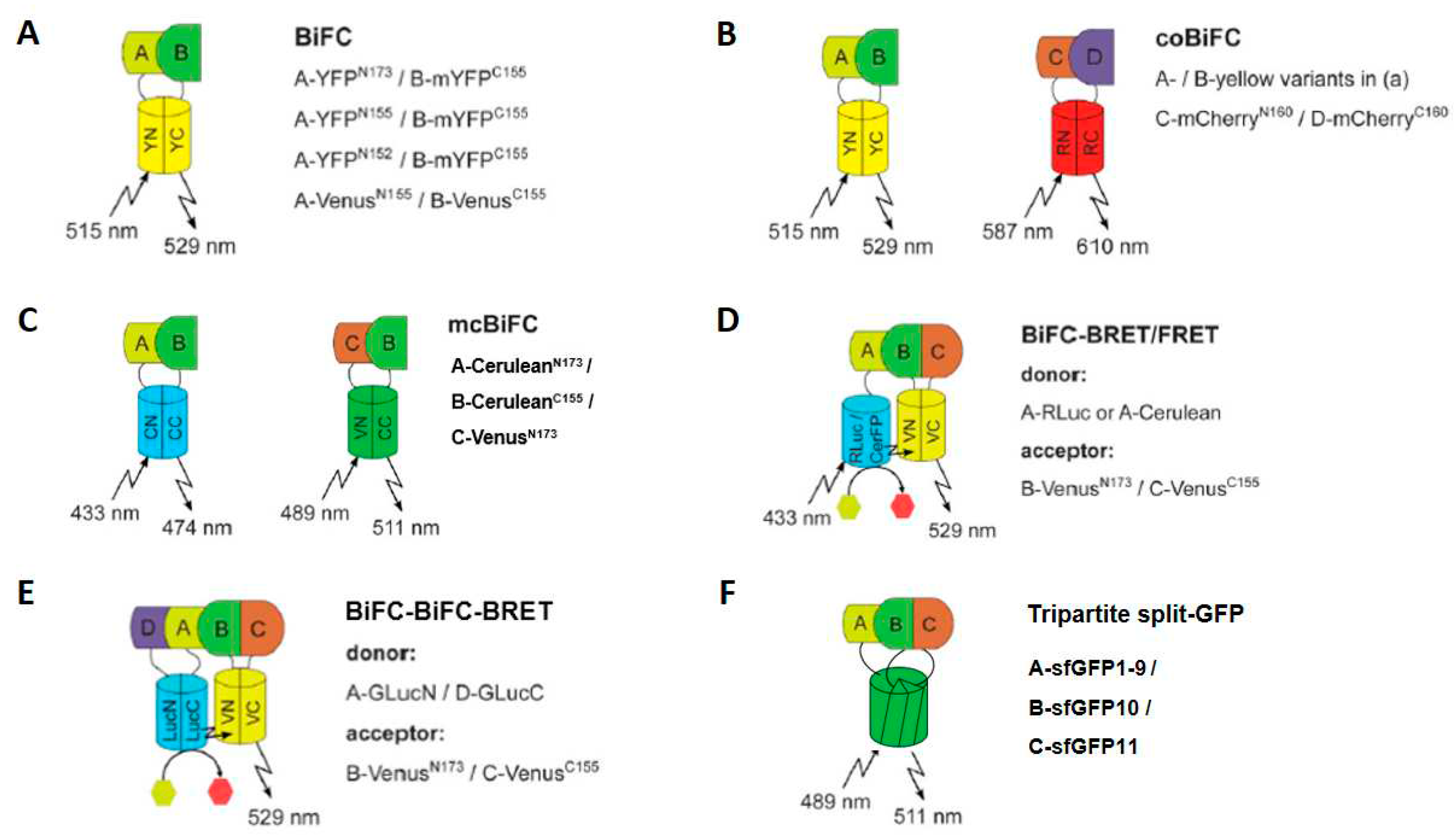 Preprints 87525 g007