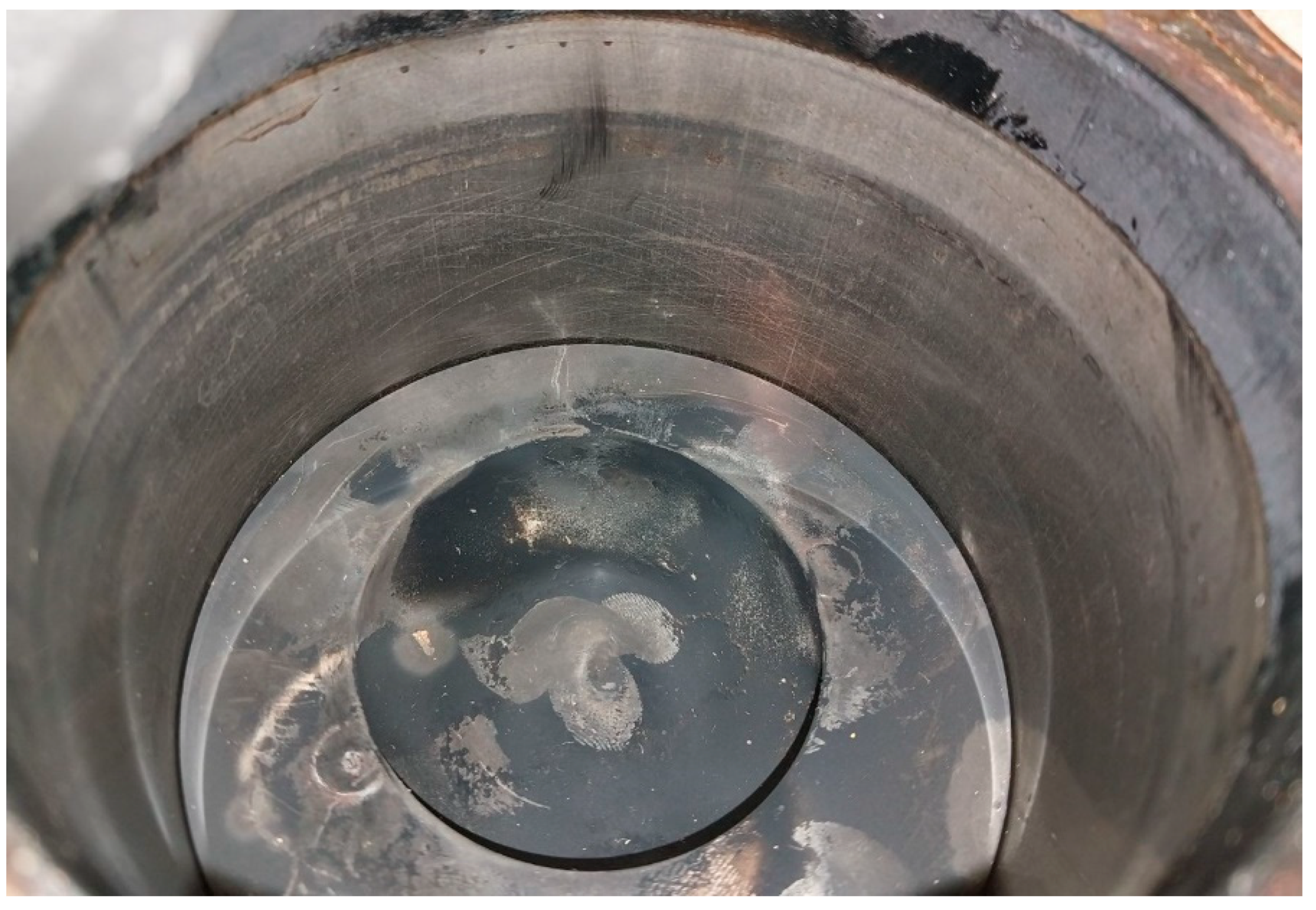 Preprints 166312 g008