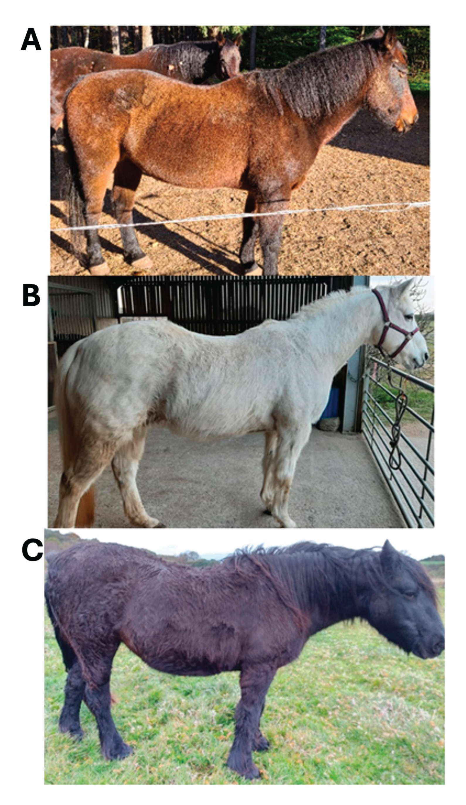 Preprints 171229 g001