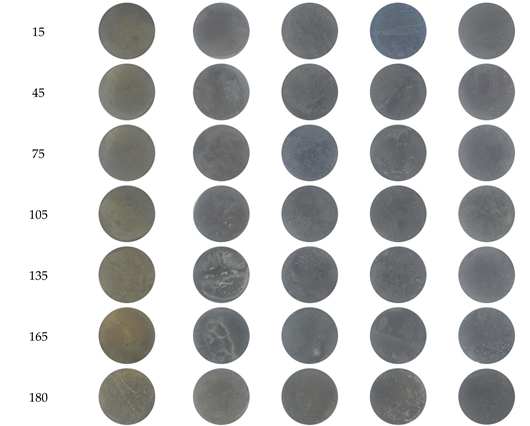 Preprints 97051 i001