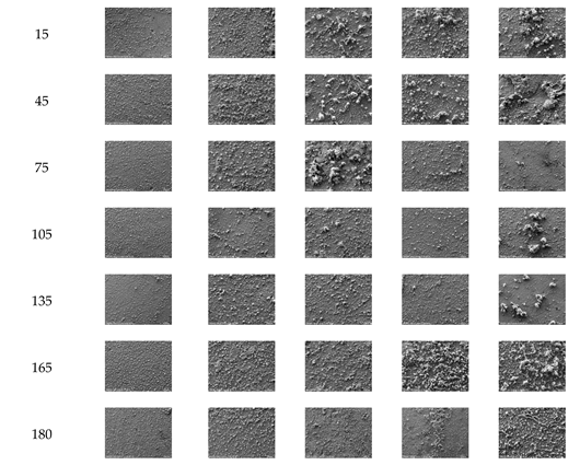 Preprints 97051 i002