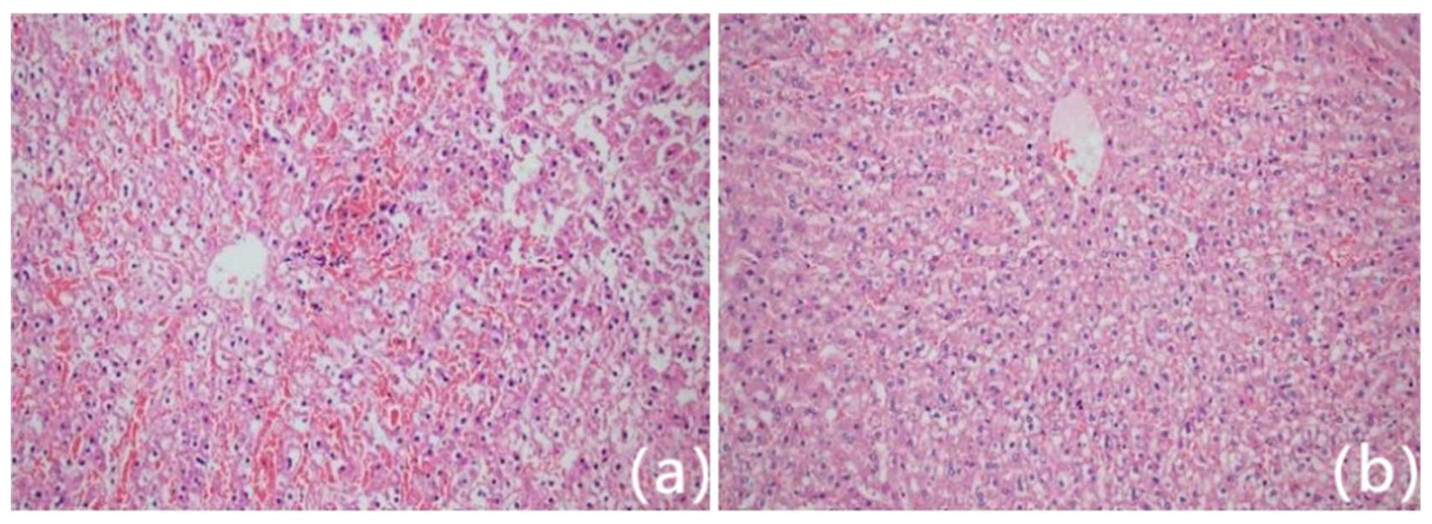 Preprints 155696 g003