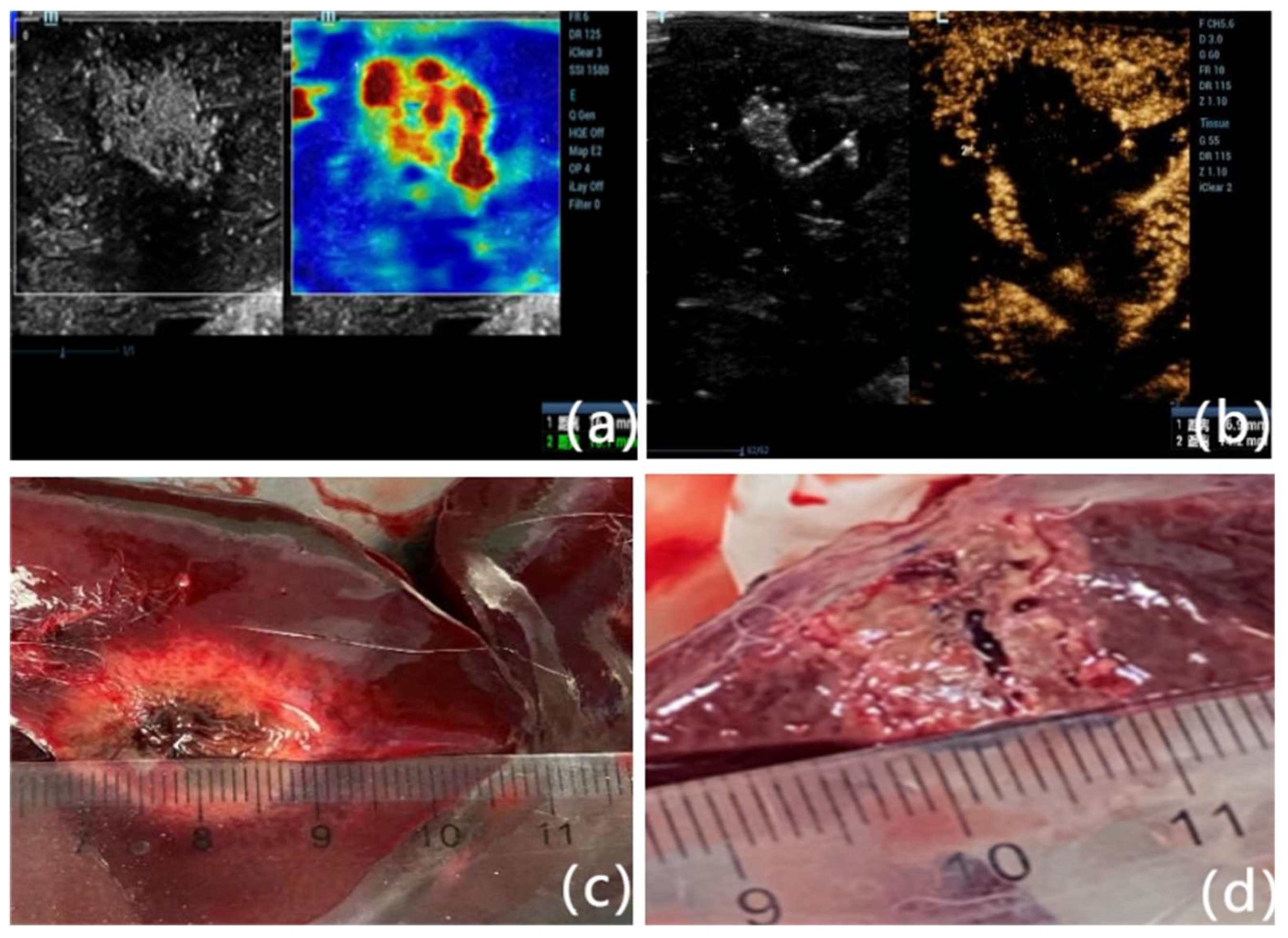 Preprints 155696 g005