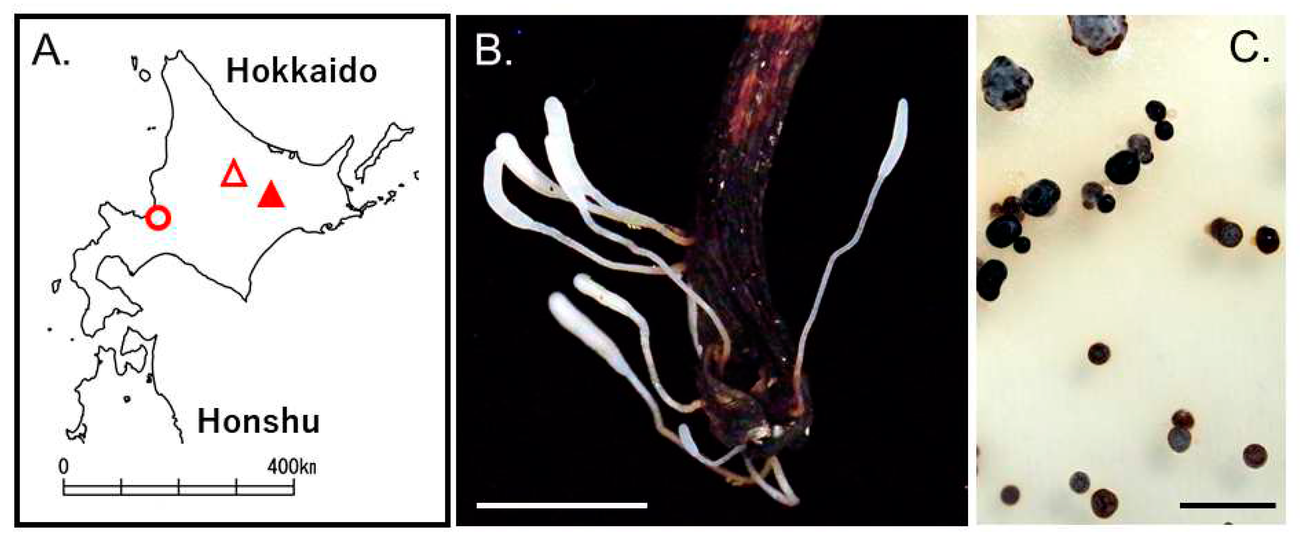 Preprints 77875 g003