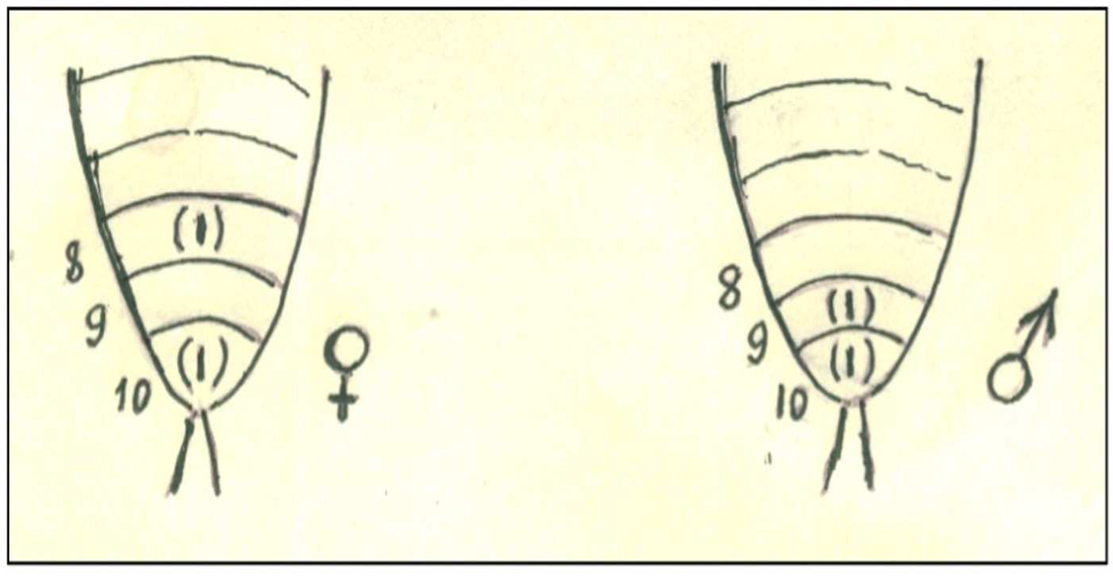 Preprints 77119 g002