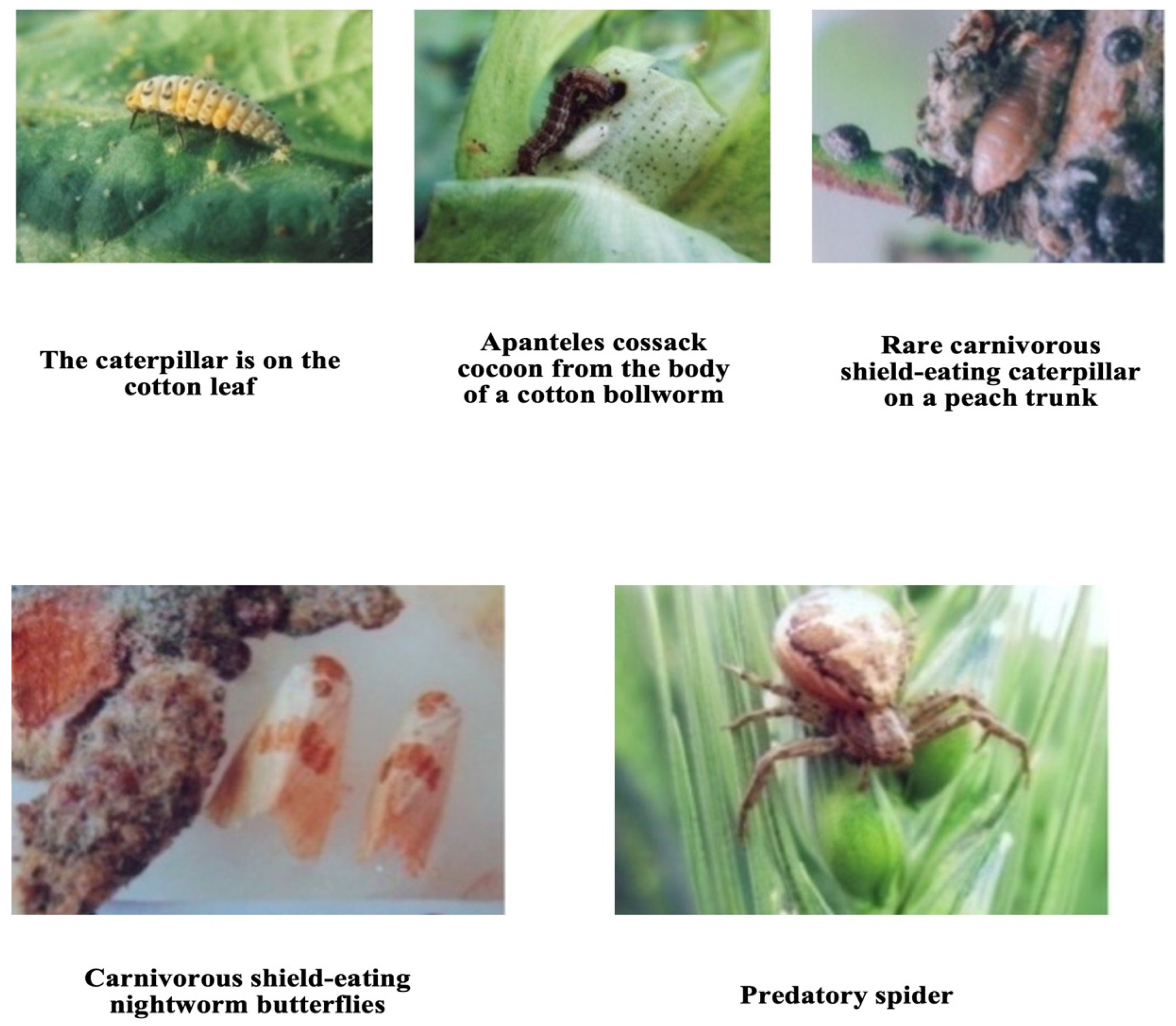 Preprints 77119 g003