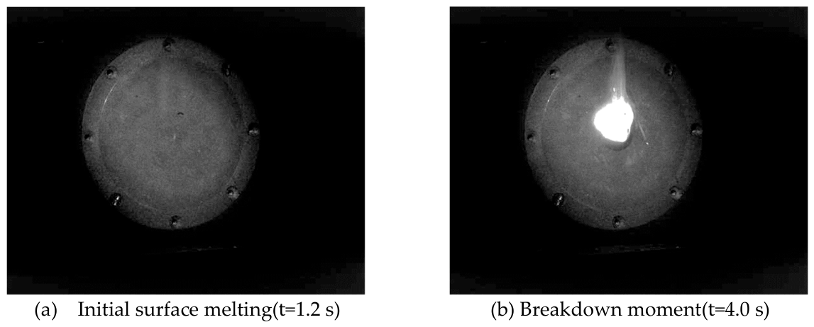 Preprints 215229 g004