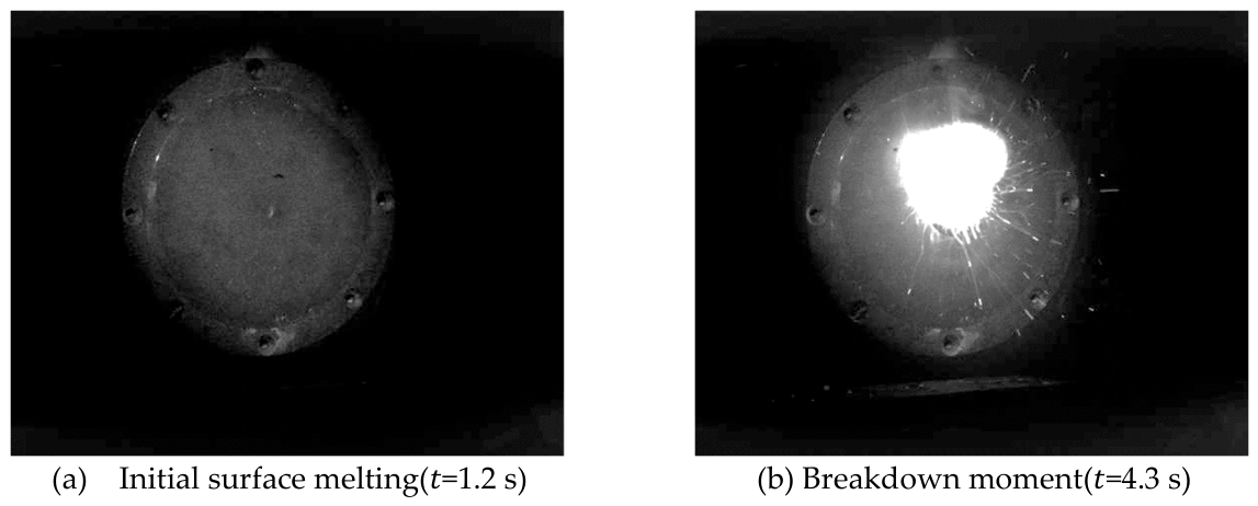 Preprints 215229 g005