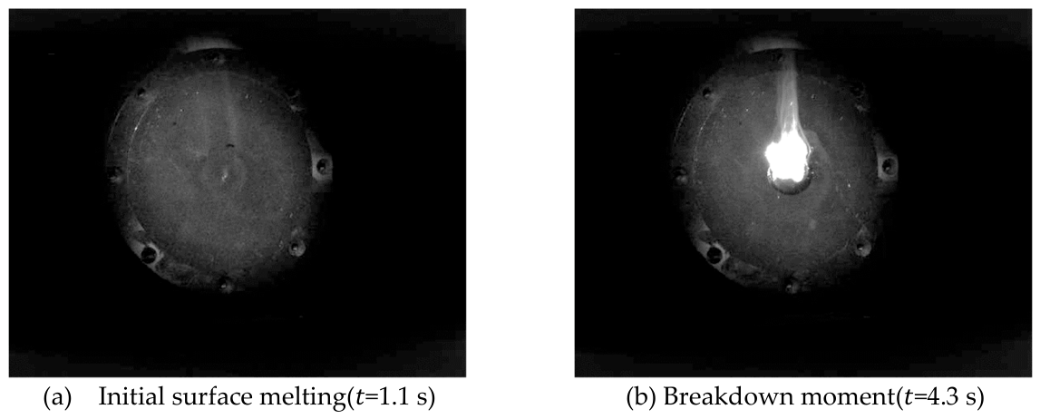Preprints 215229 g006