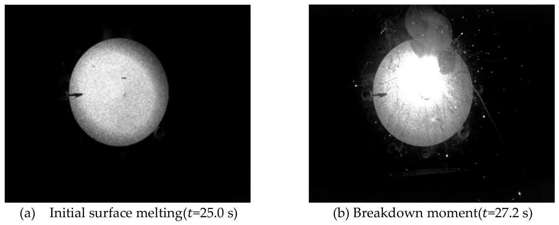 Preprints 215229 g007