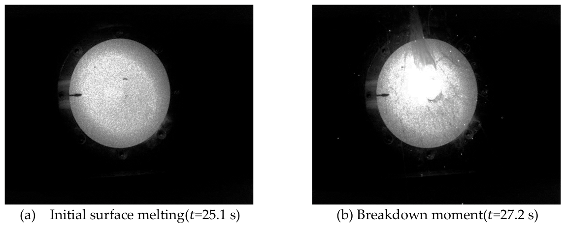 Preprints 215229 g008