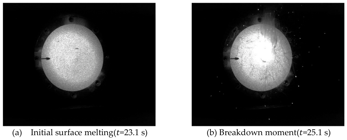 Preprints 215229 g009