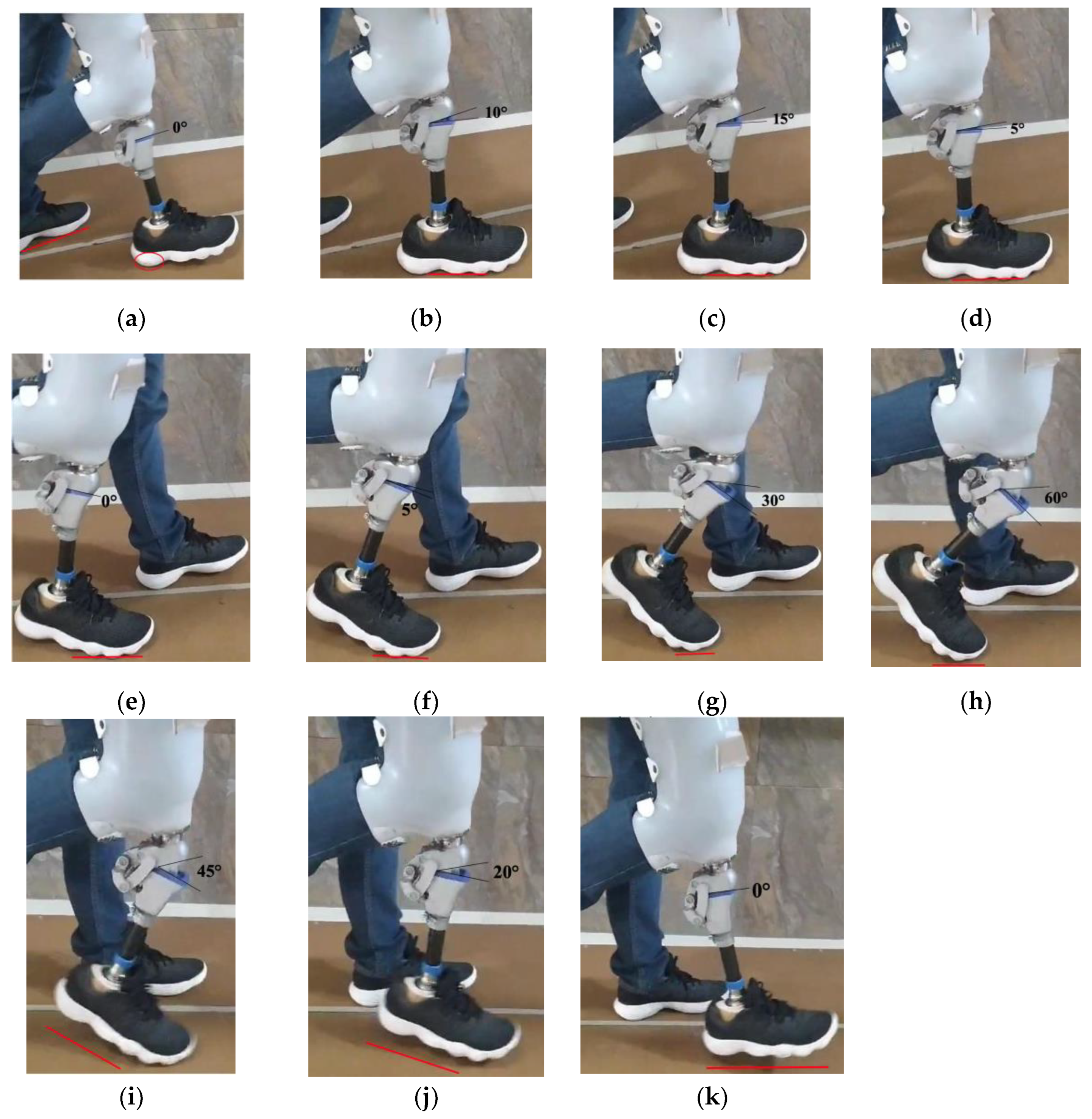 Preprints 169764 g011