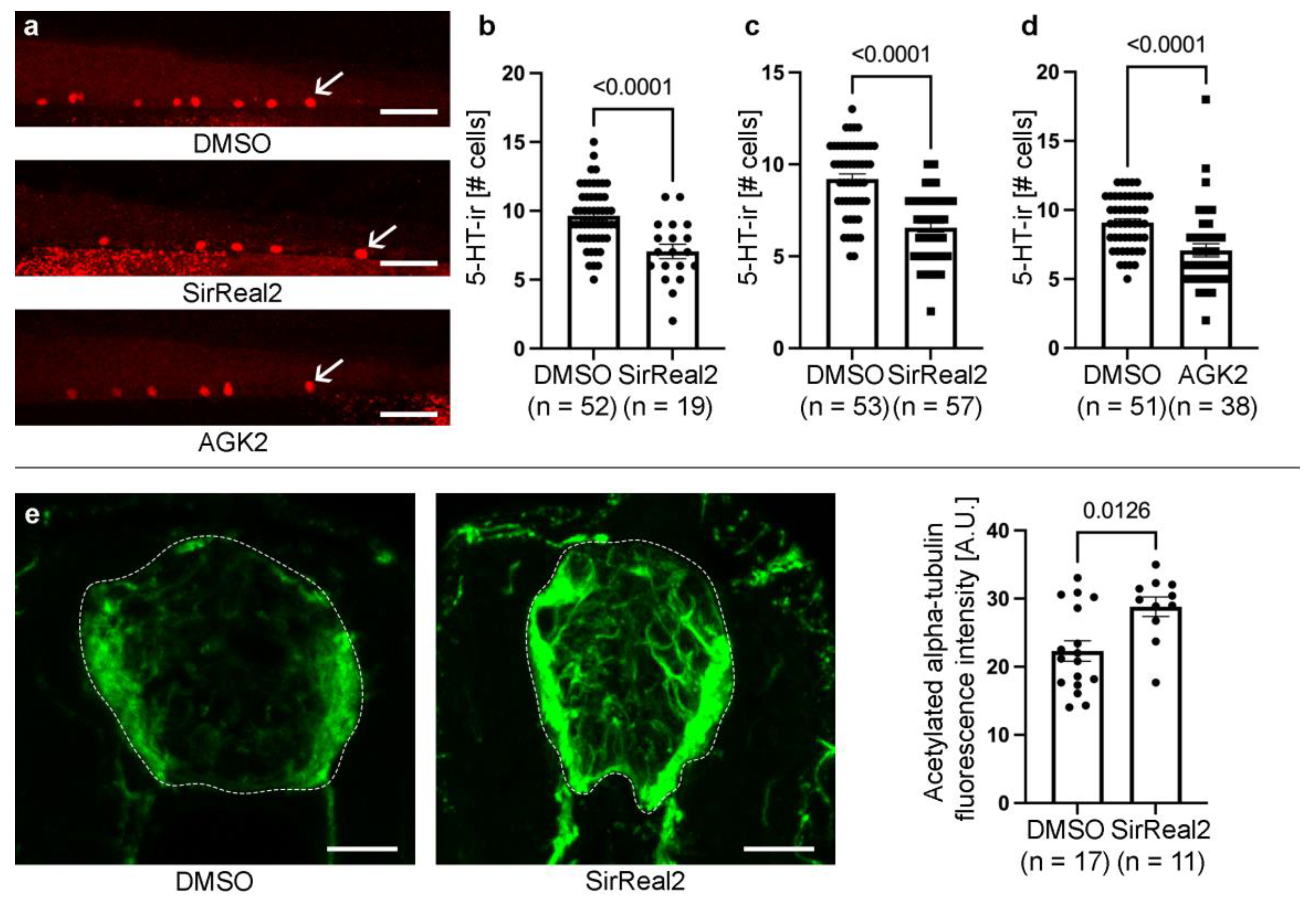 Preprints 175636 g001