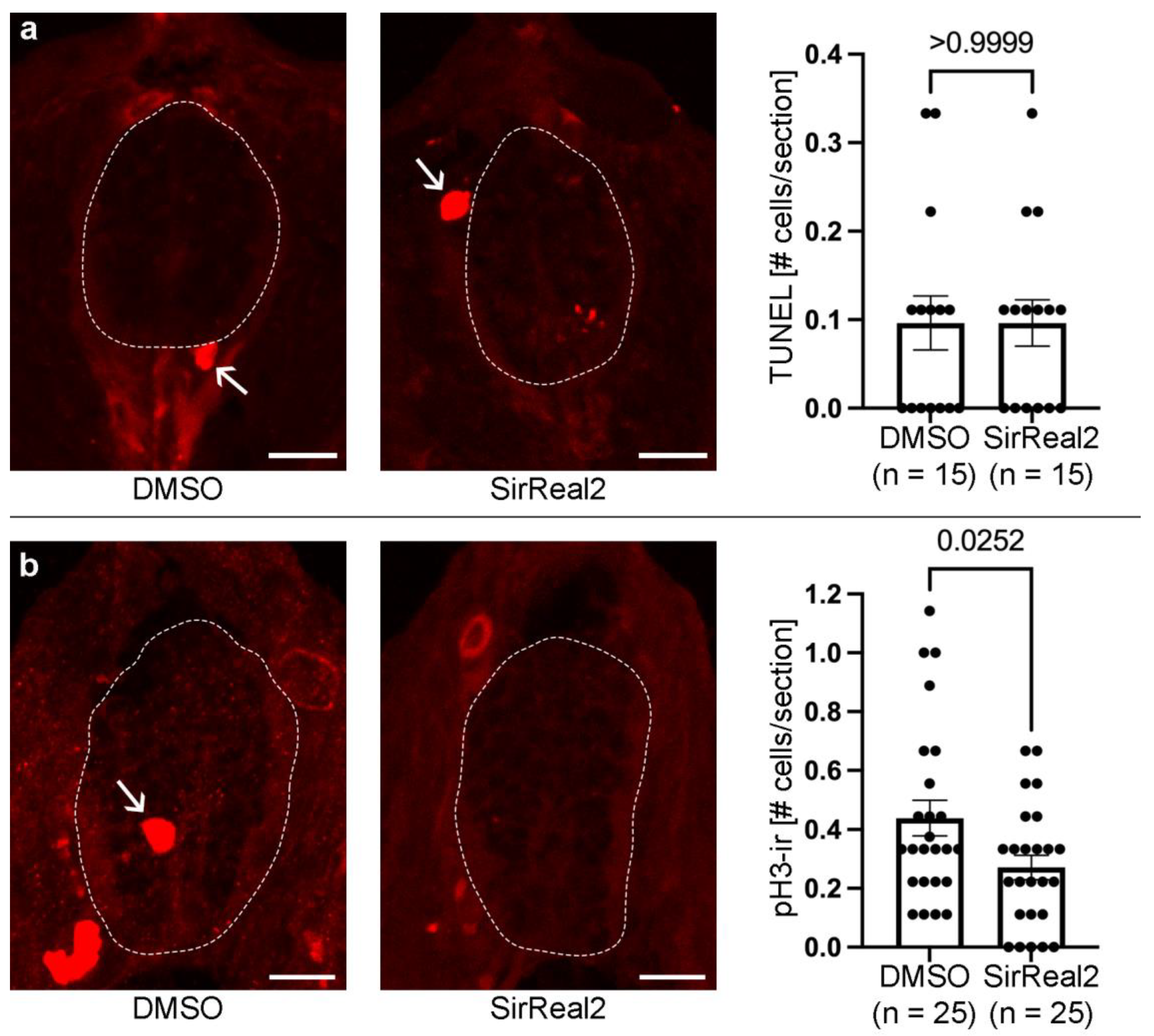 Preprints 175636 g003