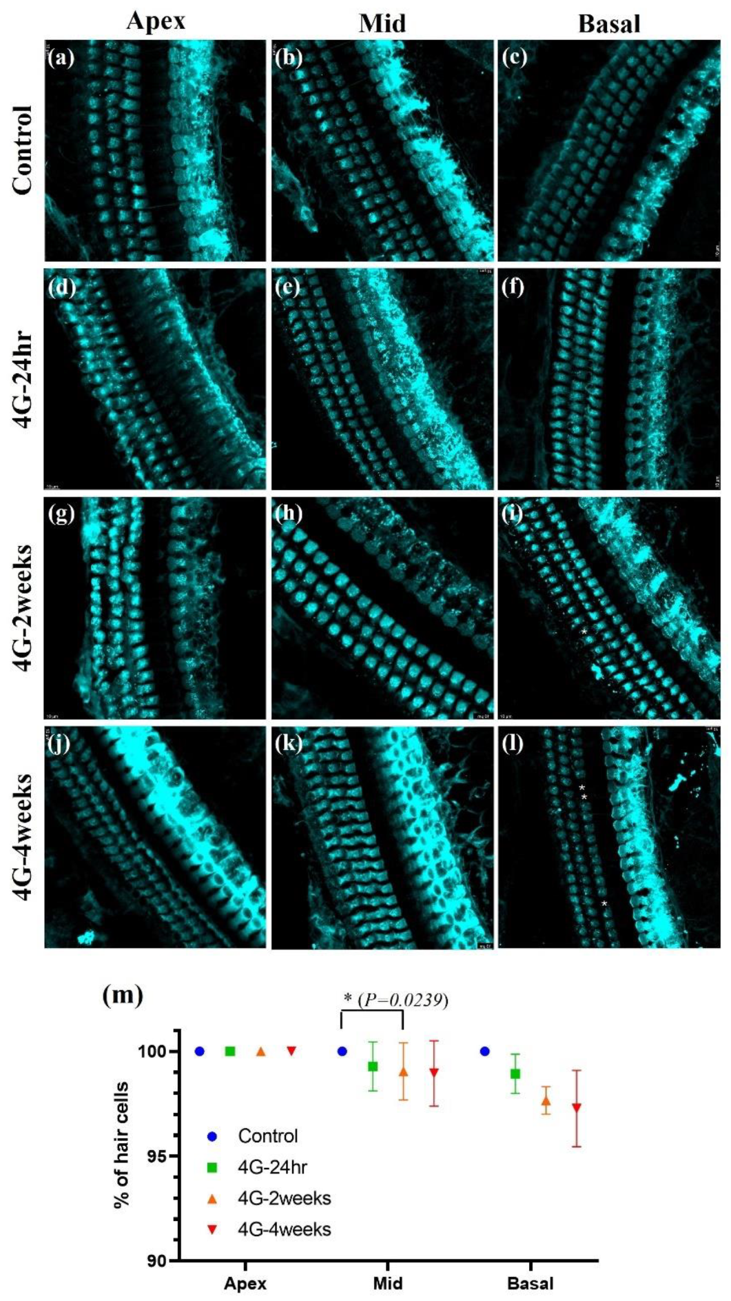 Preprints 143593 g004