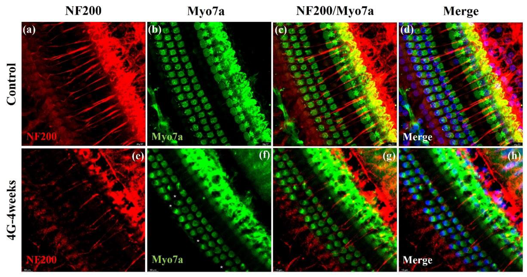 Preprints 143593 g005