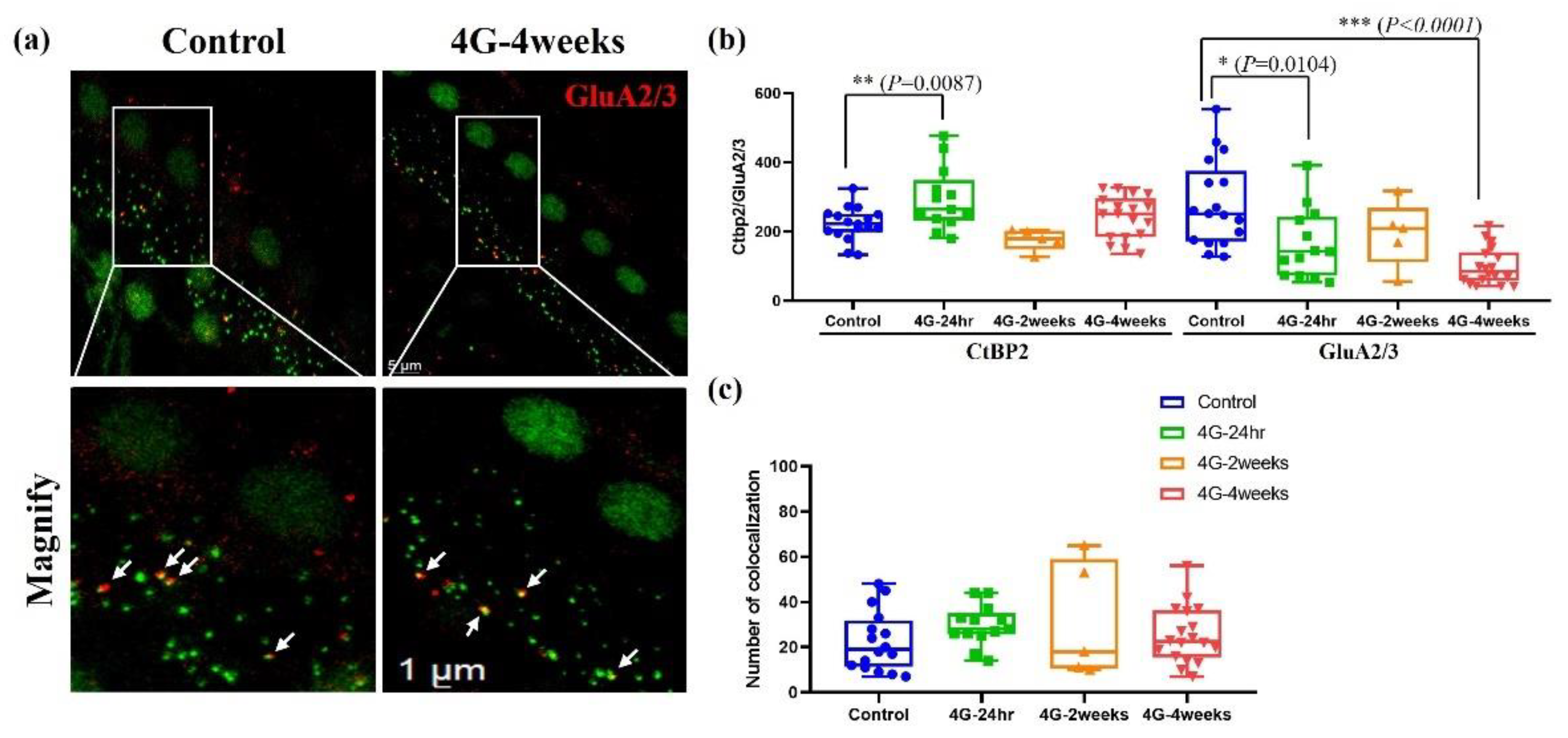 Preprints 143593 g006