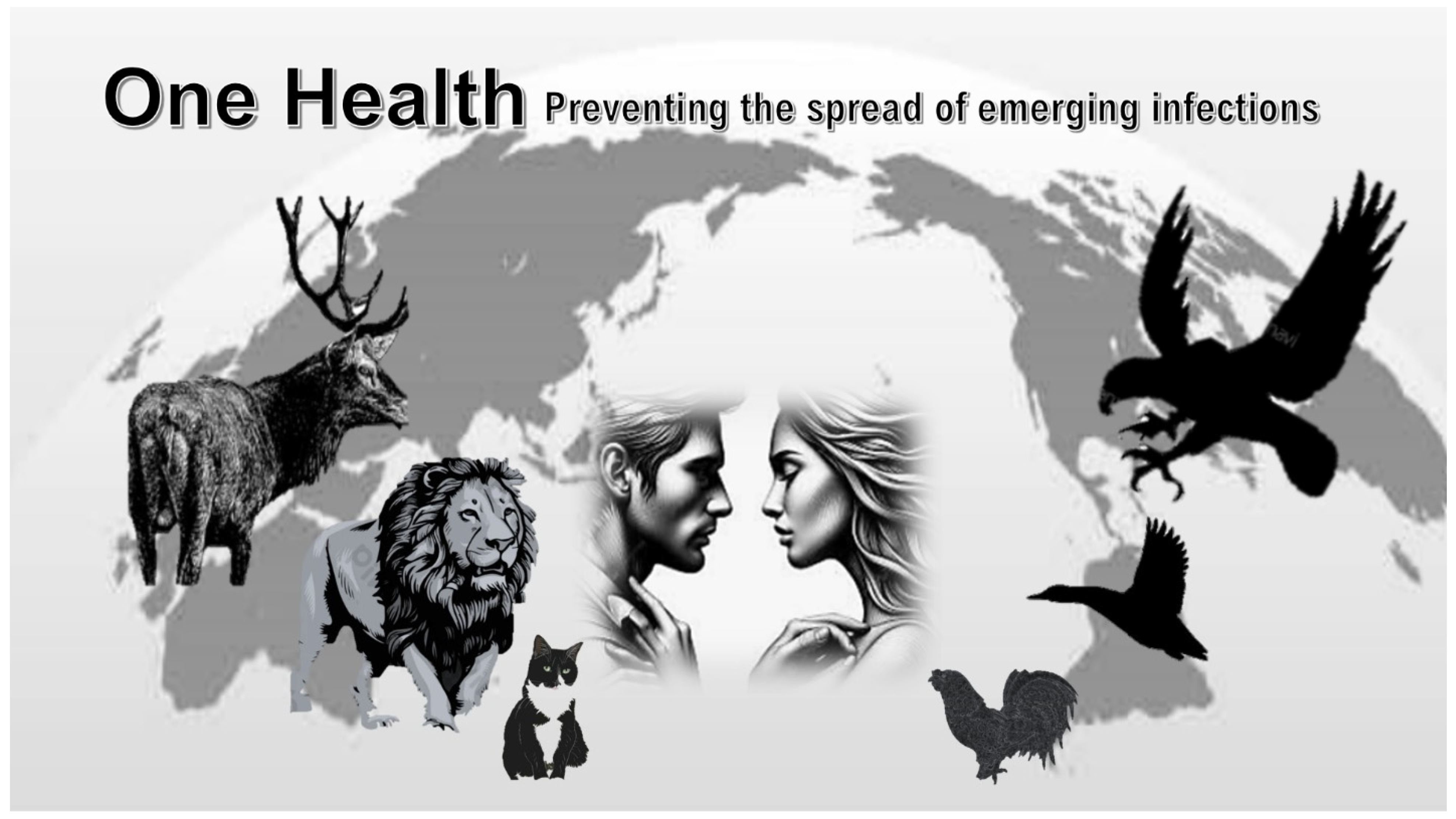 Preprints 149518 g001