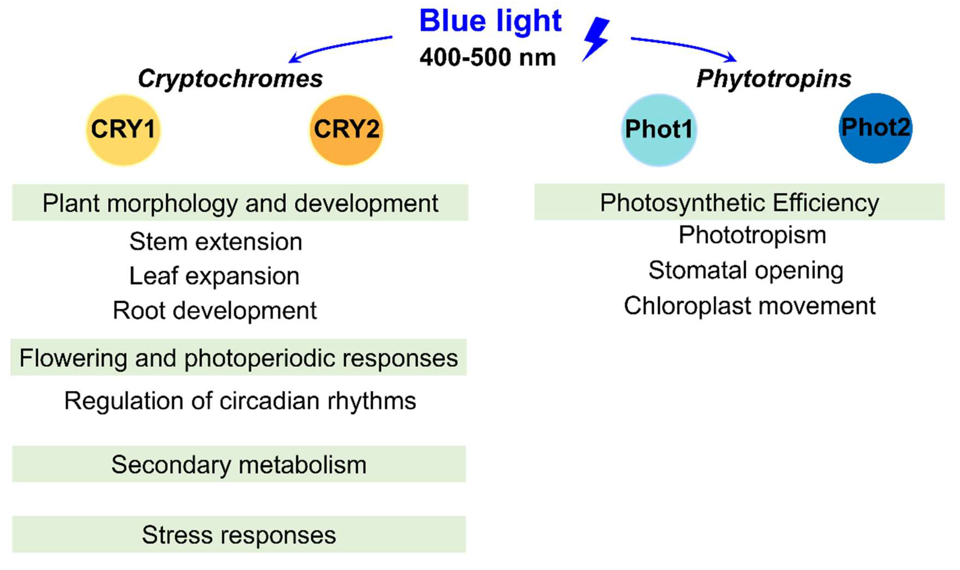 Preprints 158365 g001