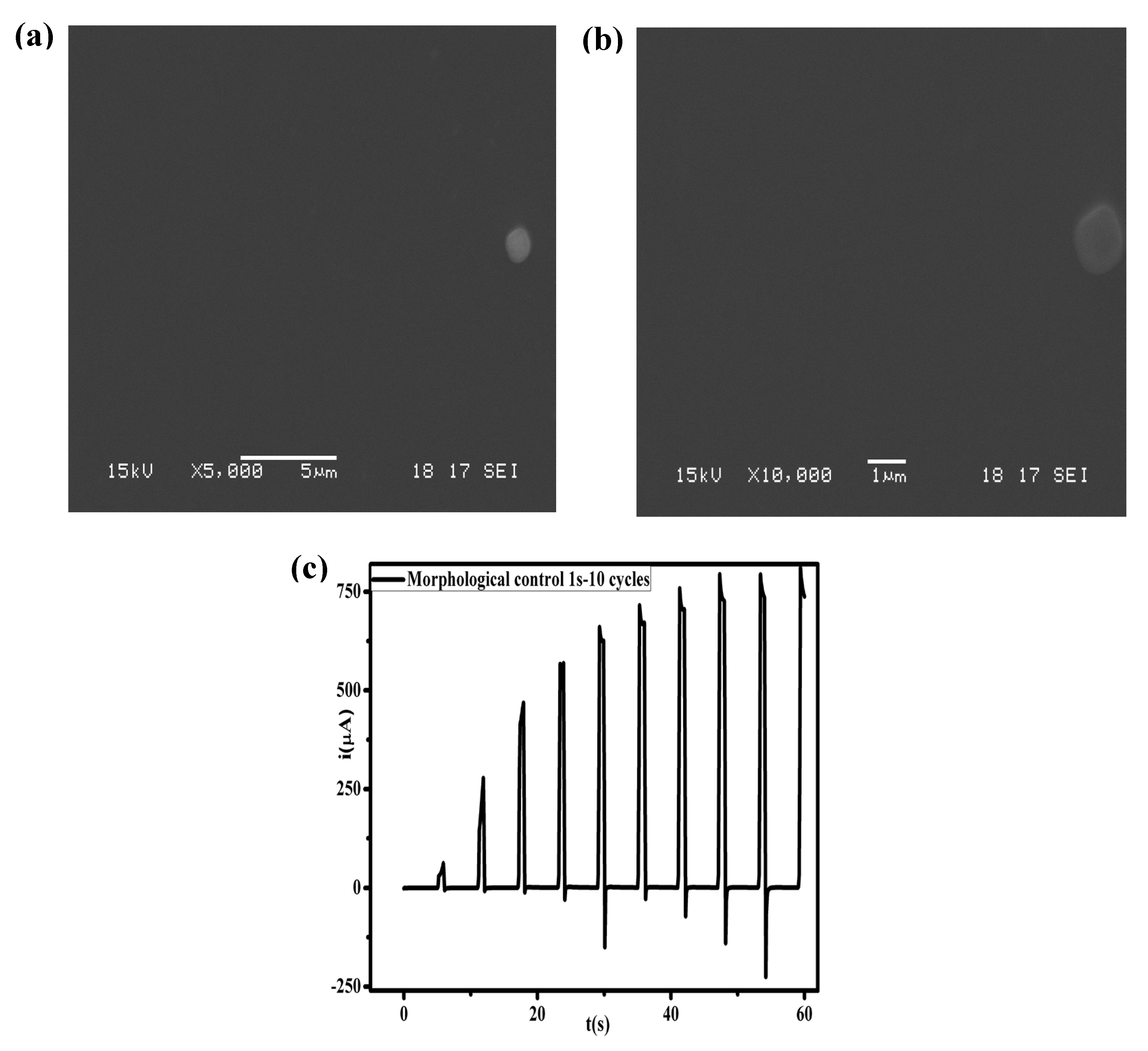 Preprints 196008 g008