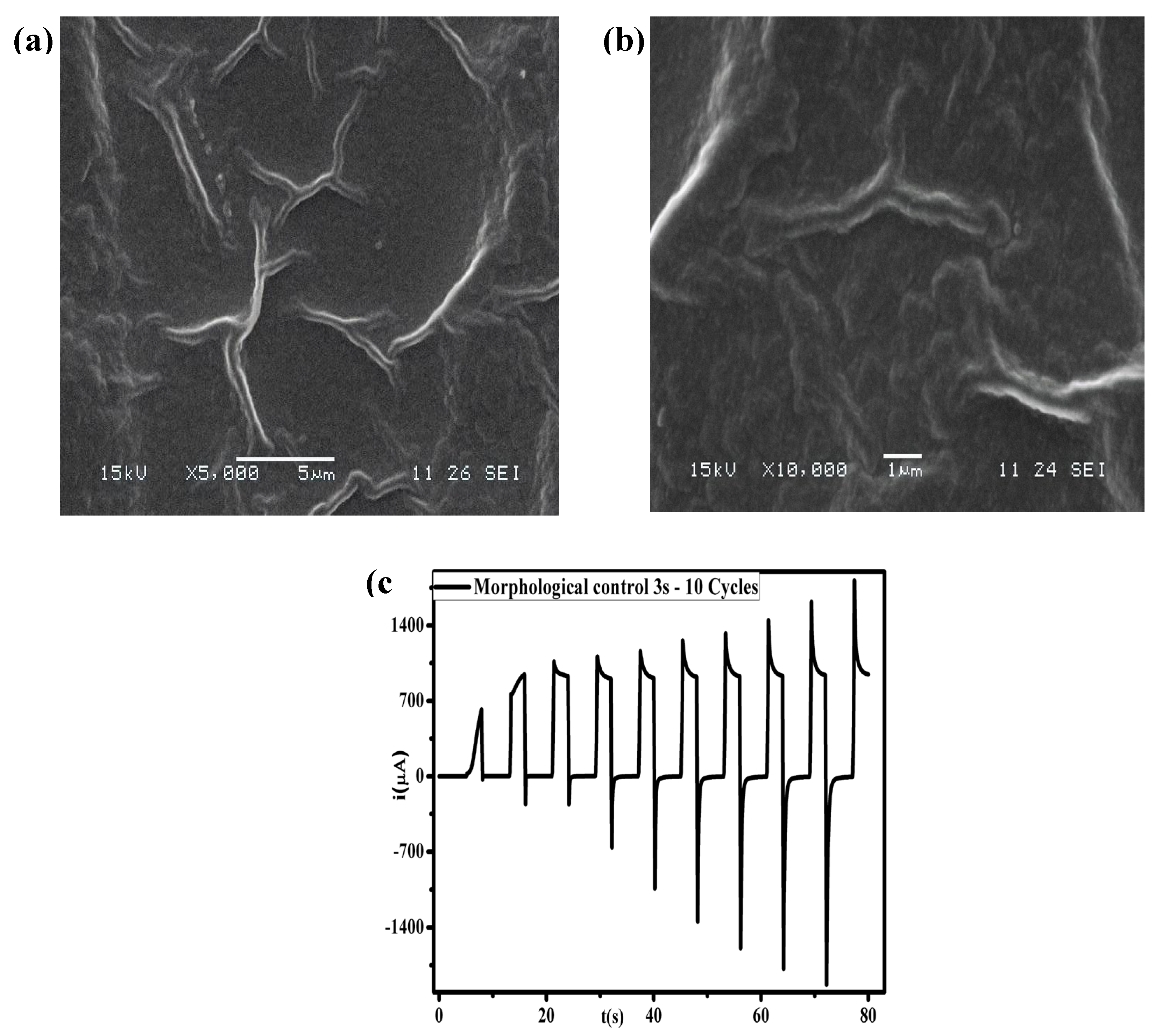 Preprints 196008 g010
