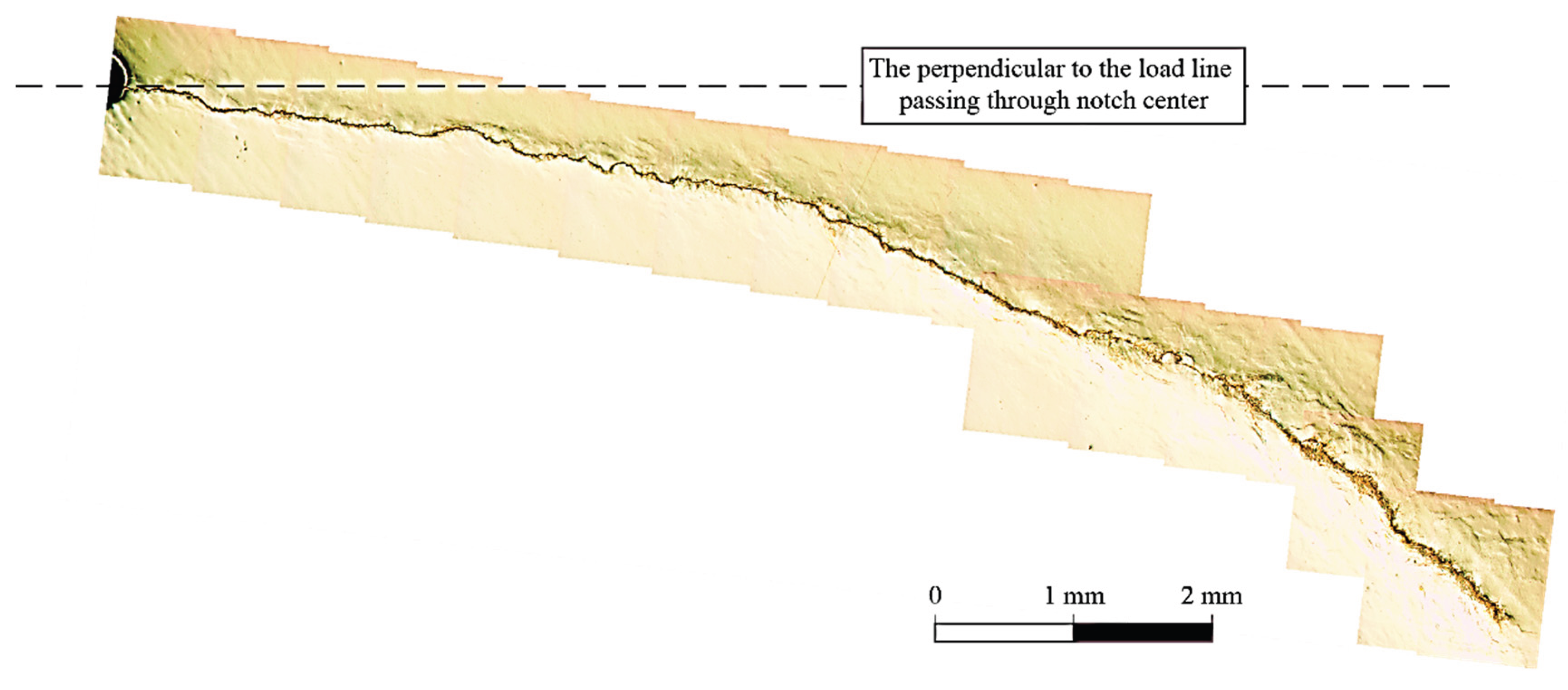 Preprints 196421 g006