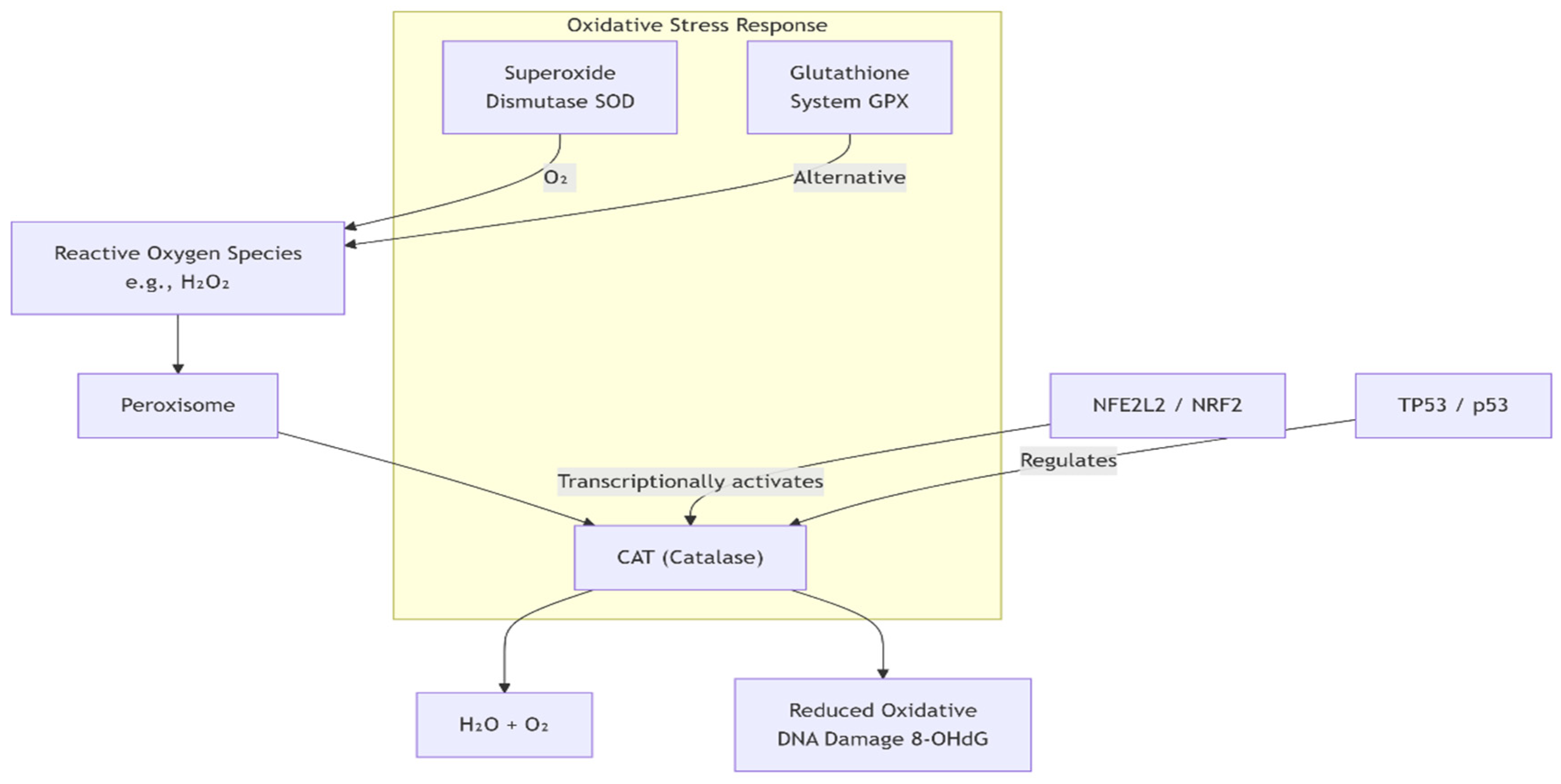 Preprints 180116 g001