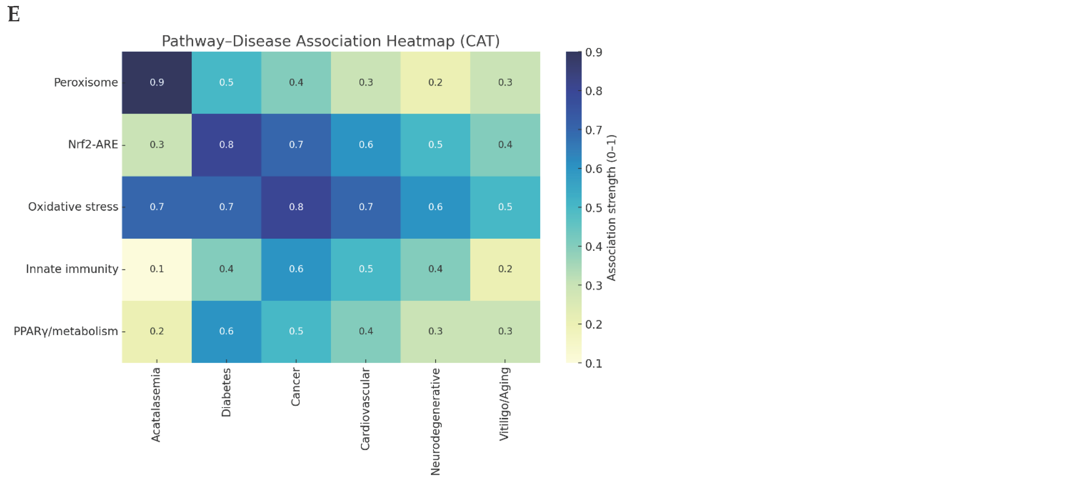 Preprints 180116 g002b