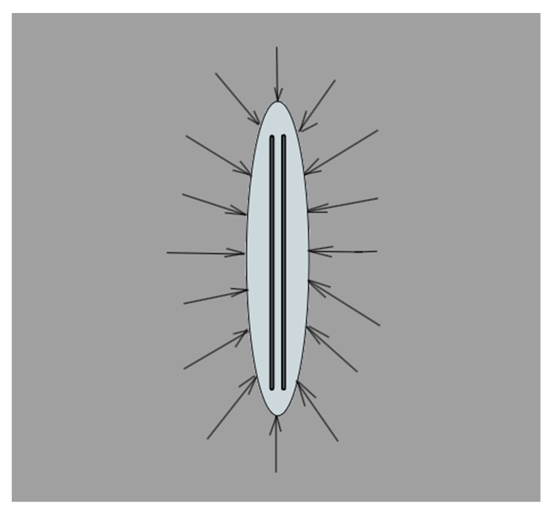 Preprints 166286 g002