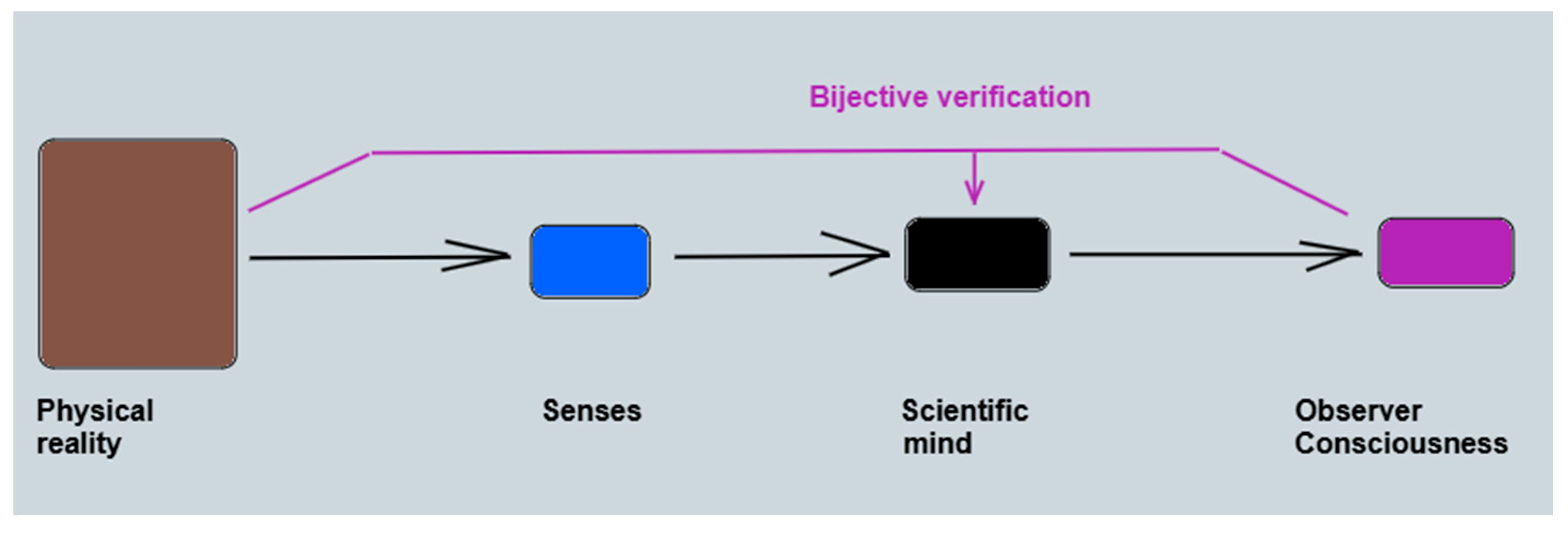 Preprints 166286 g004
