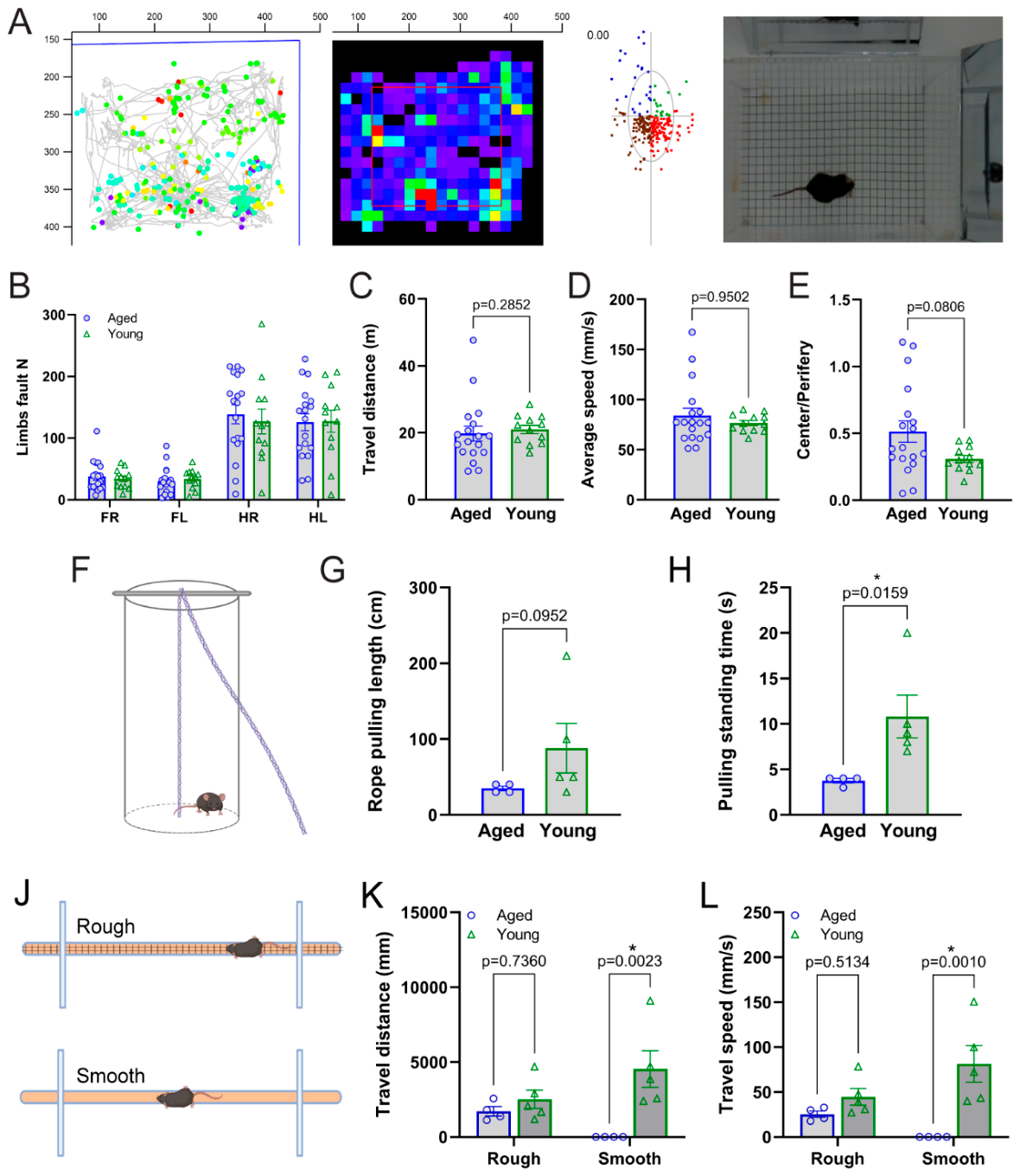 Preprints 229970 g001 Preprints 229970 g001