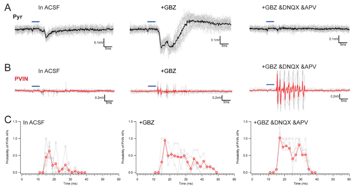 Preprints 229970 g003 Preprints 229970 g003