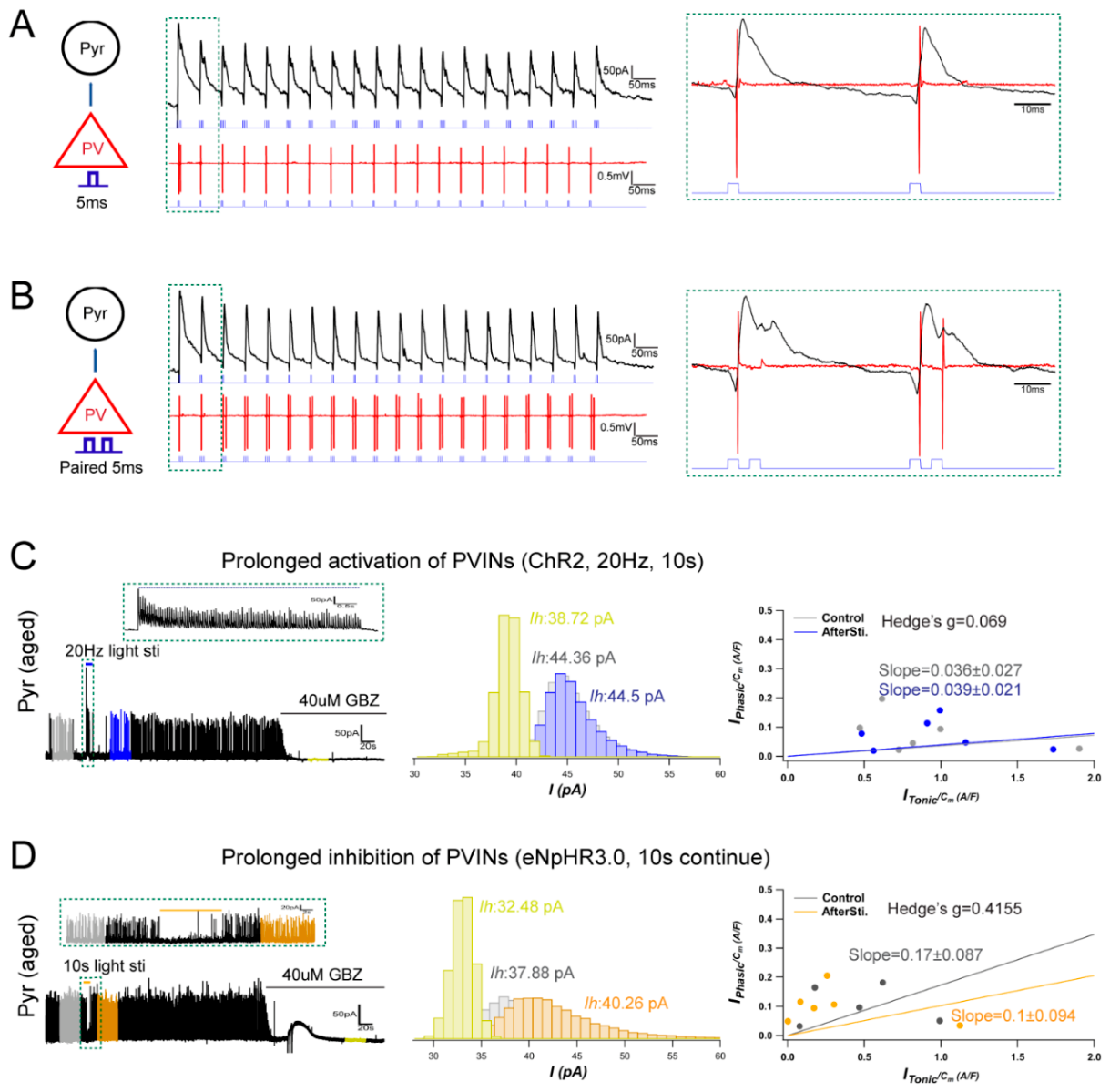 Preprints 229970 g004 Preprints 229970 g004