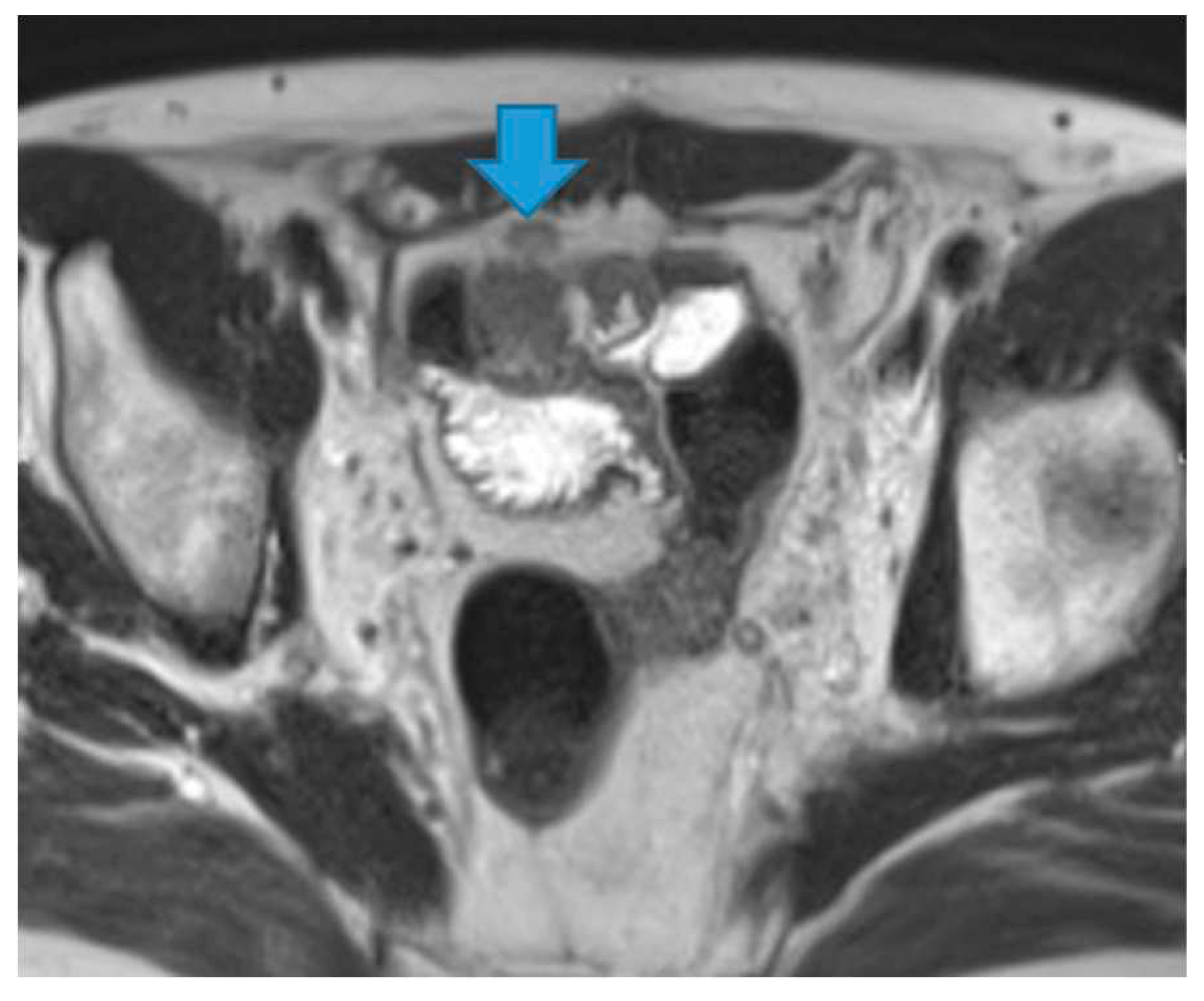 Preprints 73100 g002