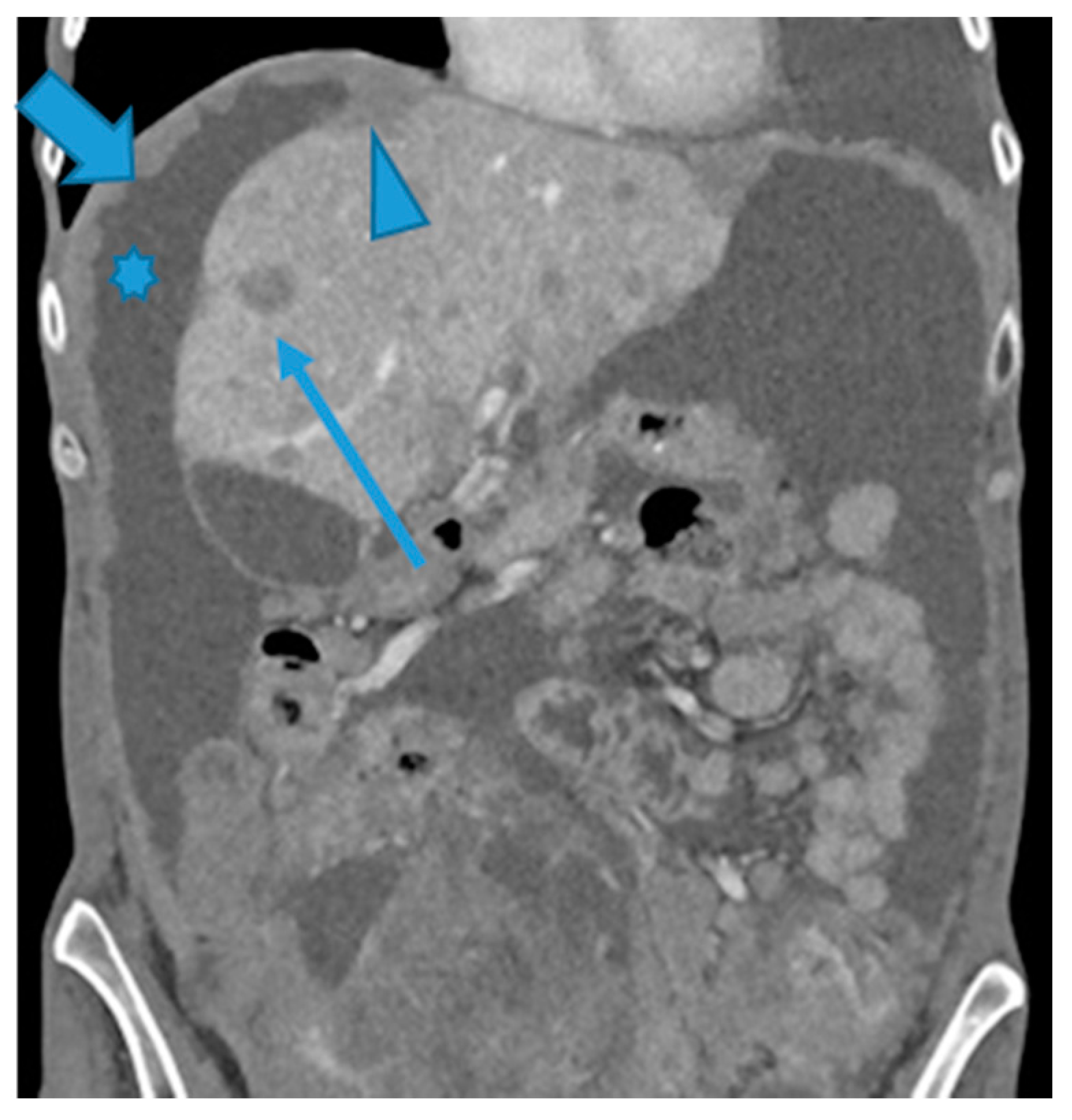 Preprints 73100 g007