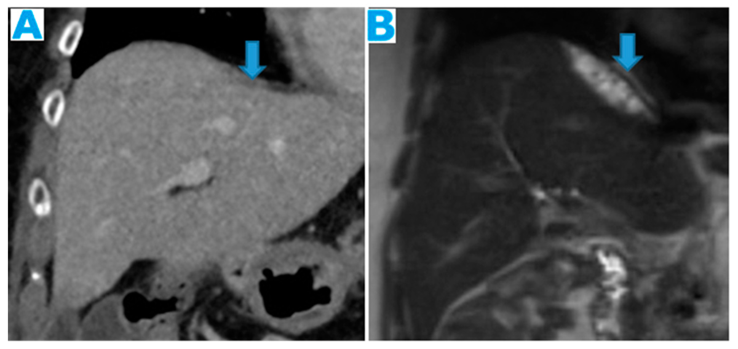 Preprints 73100 g008