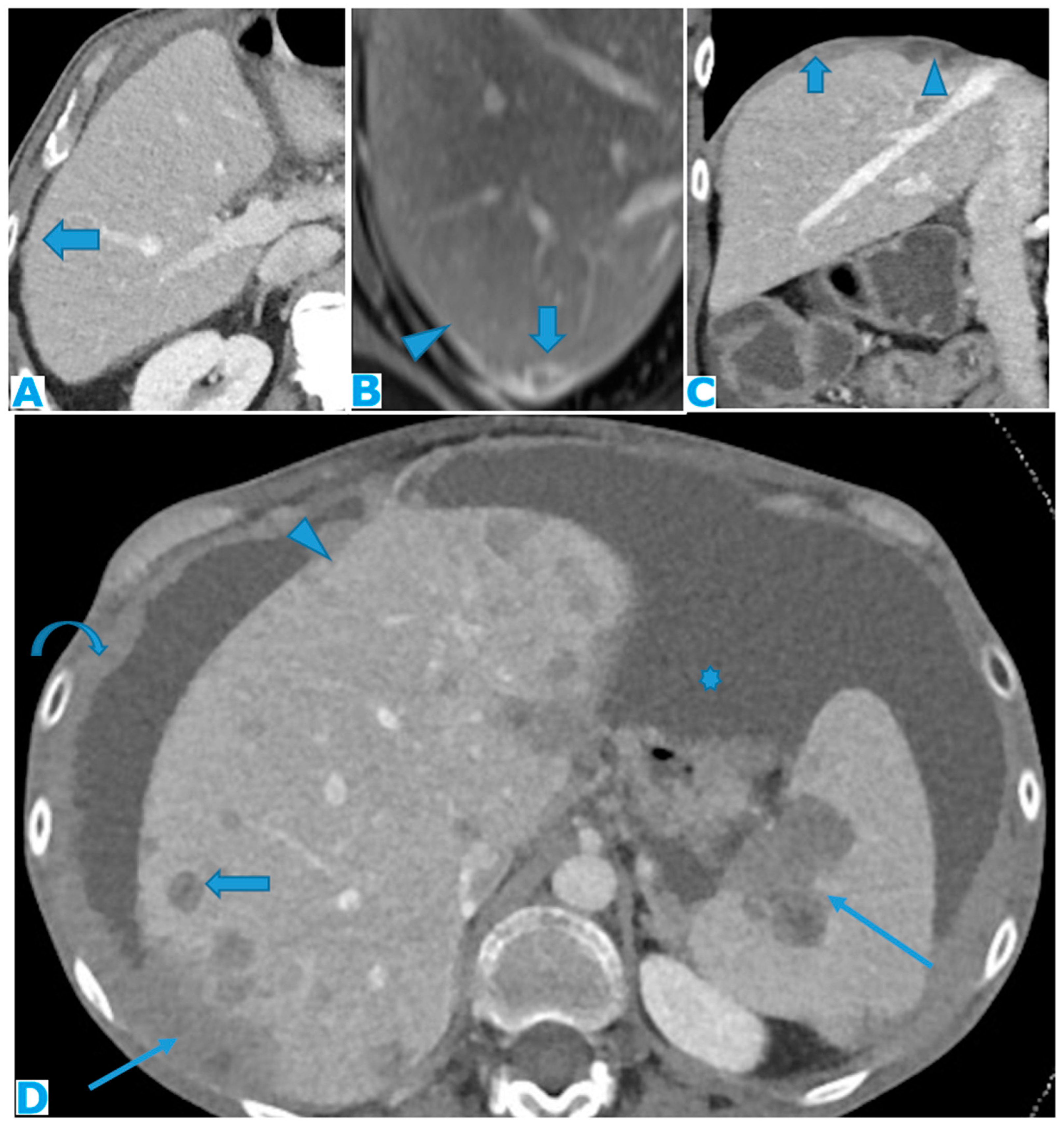 Preprints 73100 g009