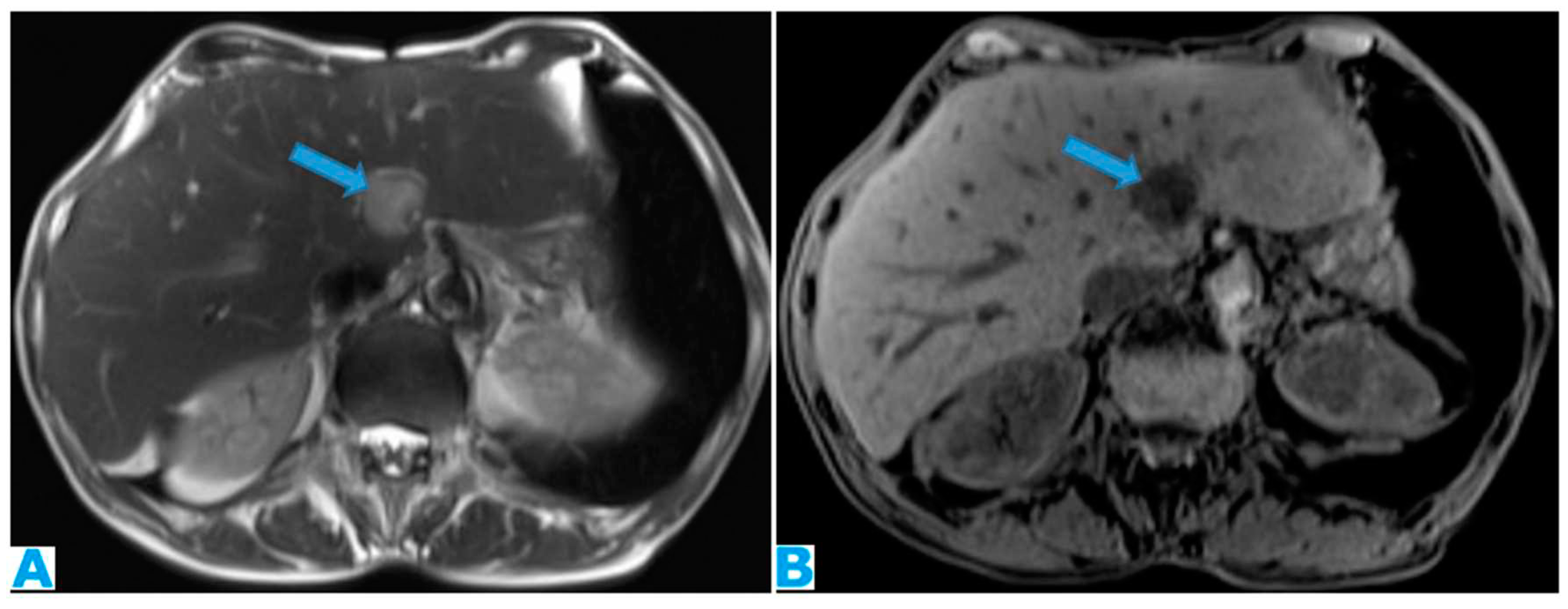 Preprints 73100 g010