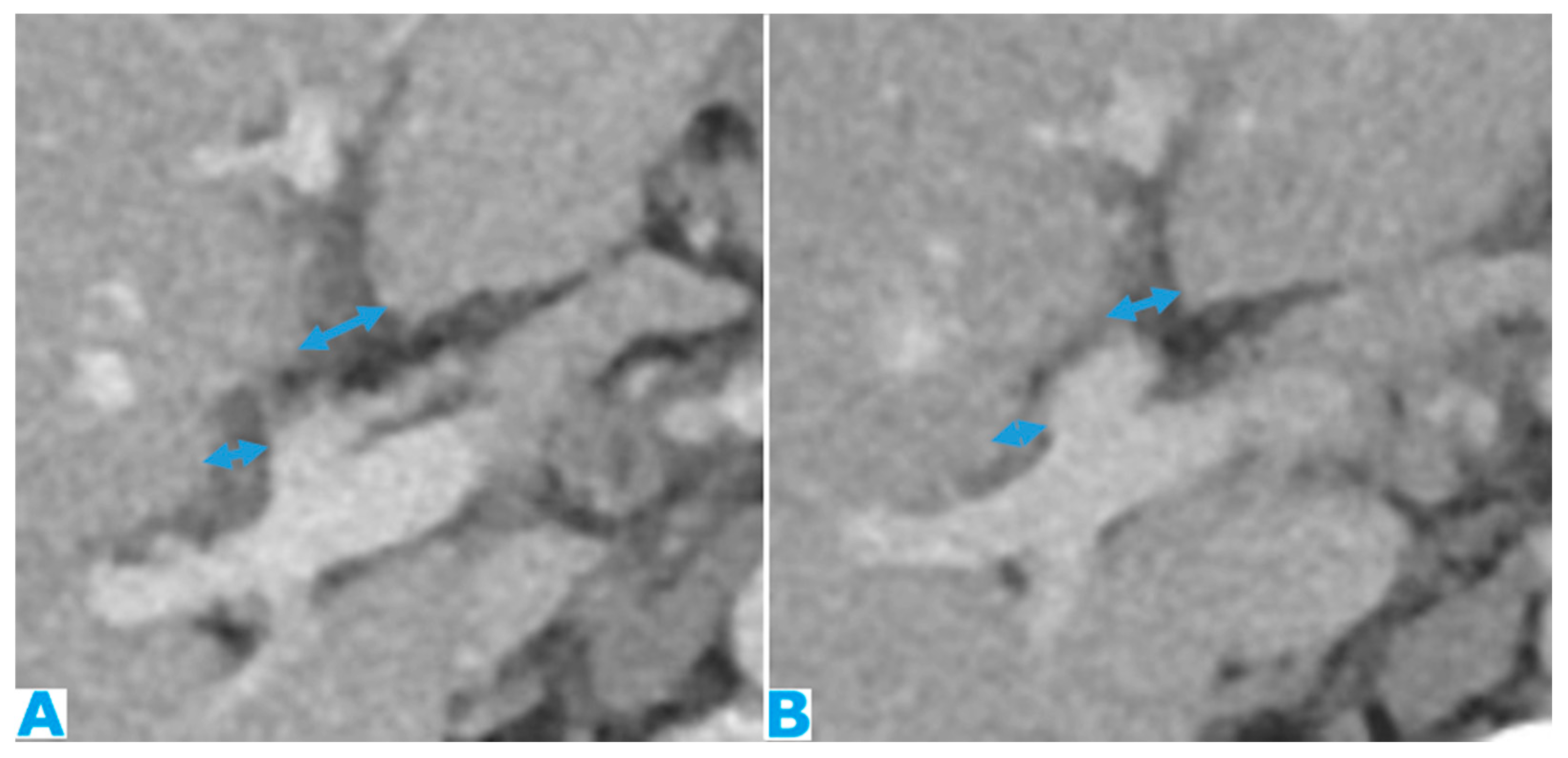 Preprints 73100 g012