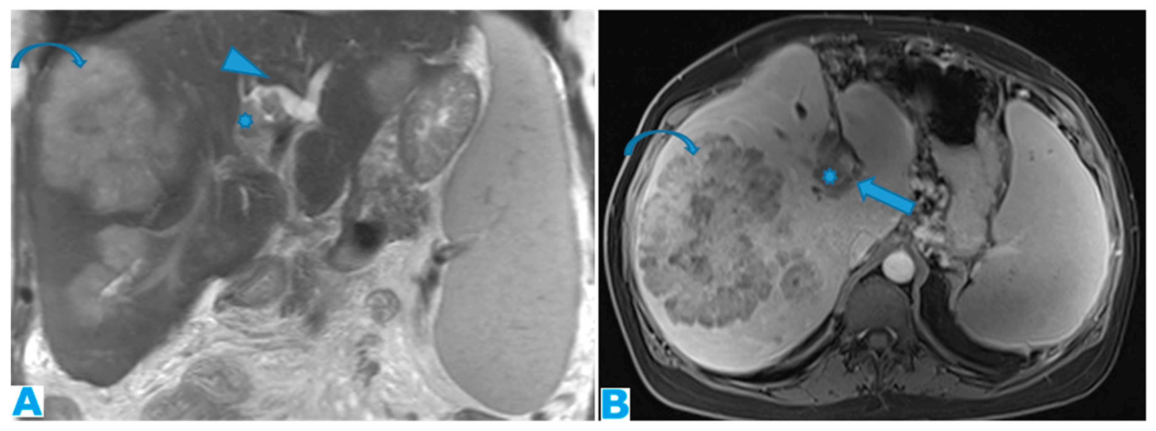 Preprints 73100 g013