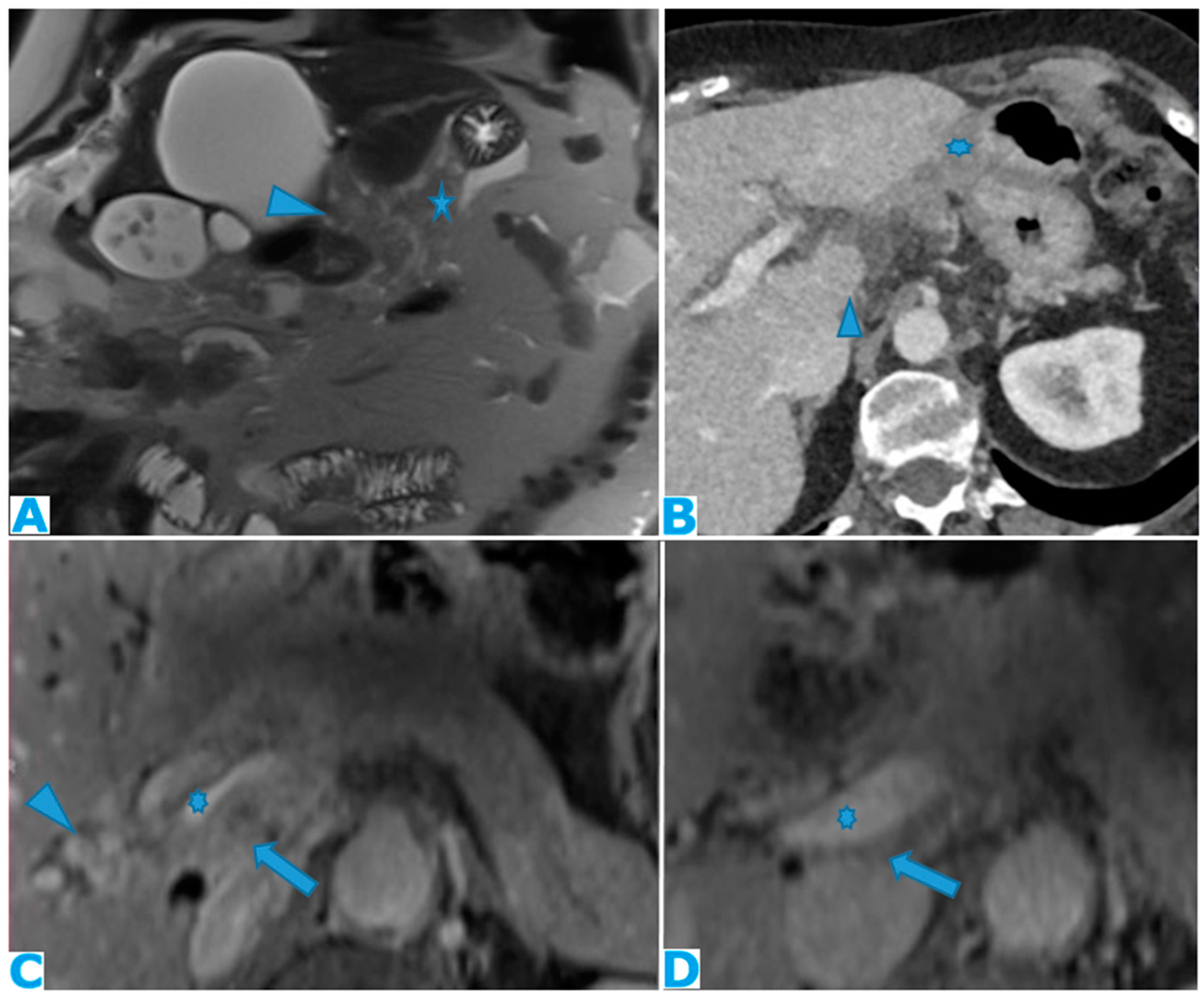 Preprints 73100 g014